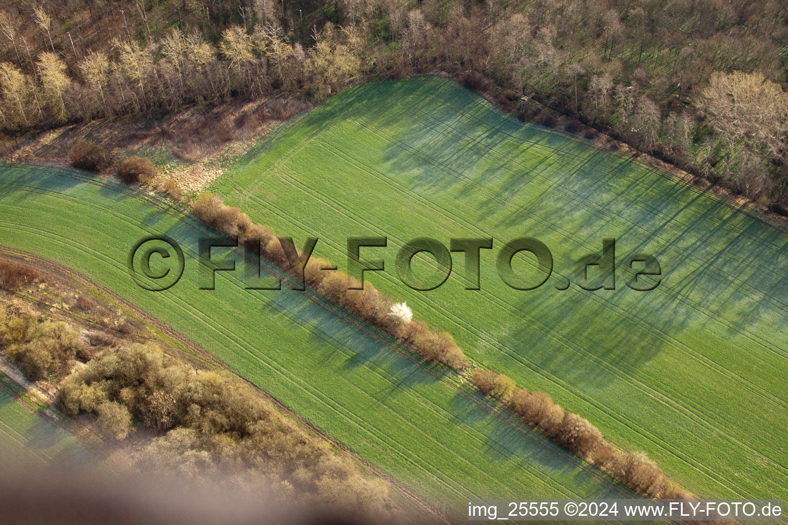 Elchesheim in the state Baden-Wuerttemberg, Germany viewn from the air