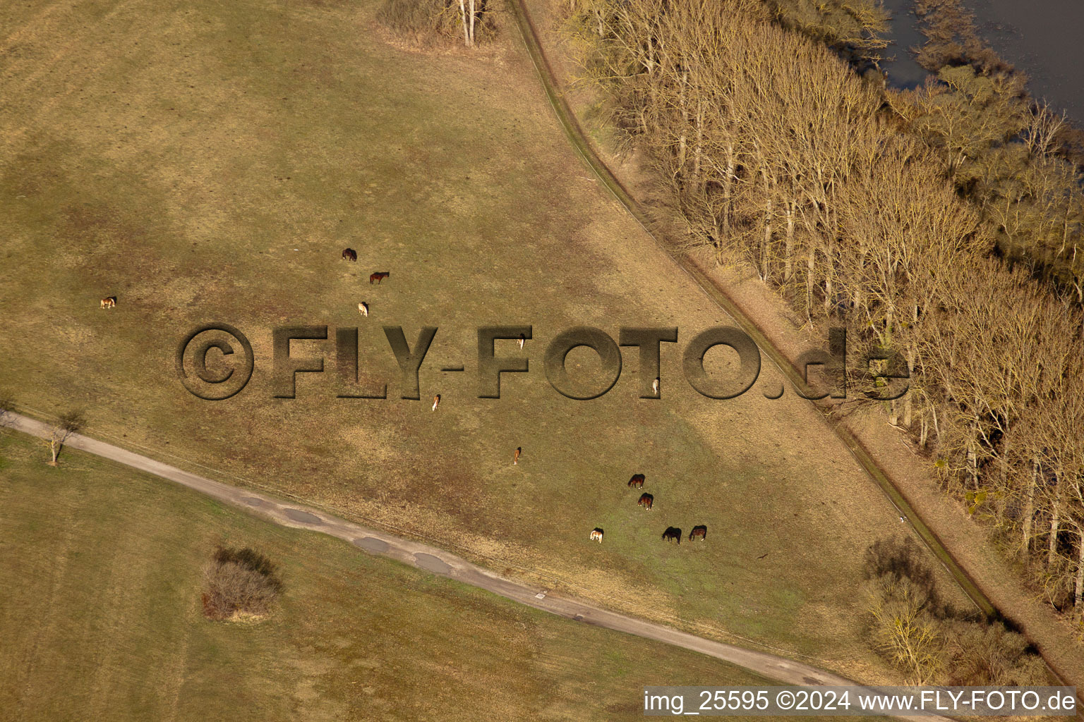 Munchhausen in the state Bas-Rhin, France from the drone perspective