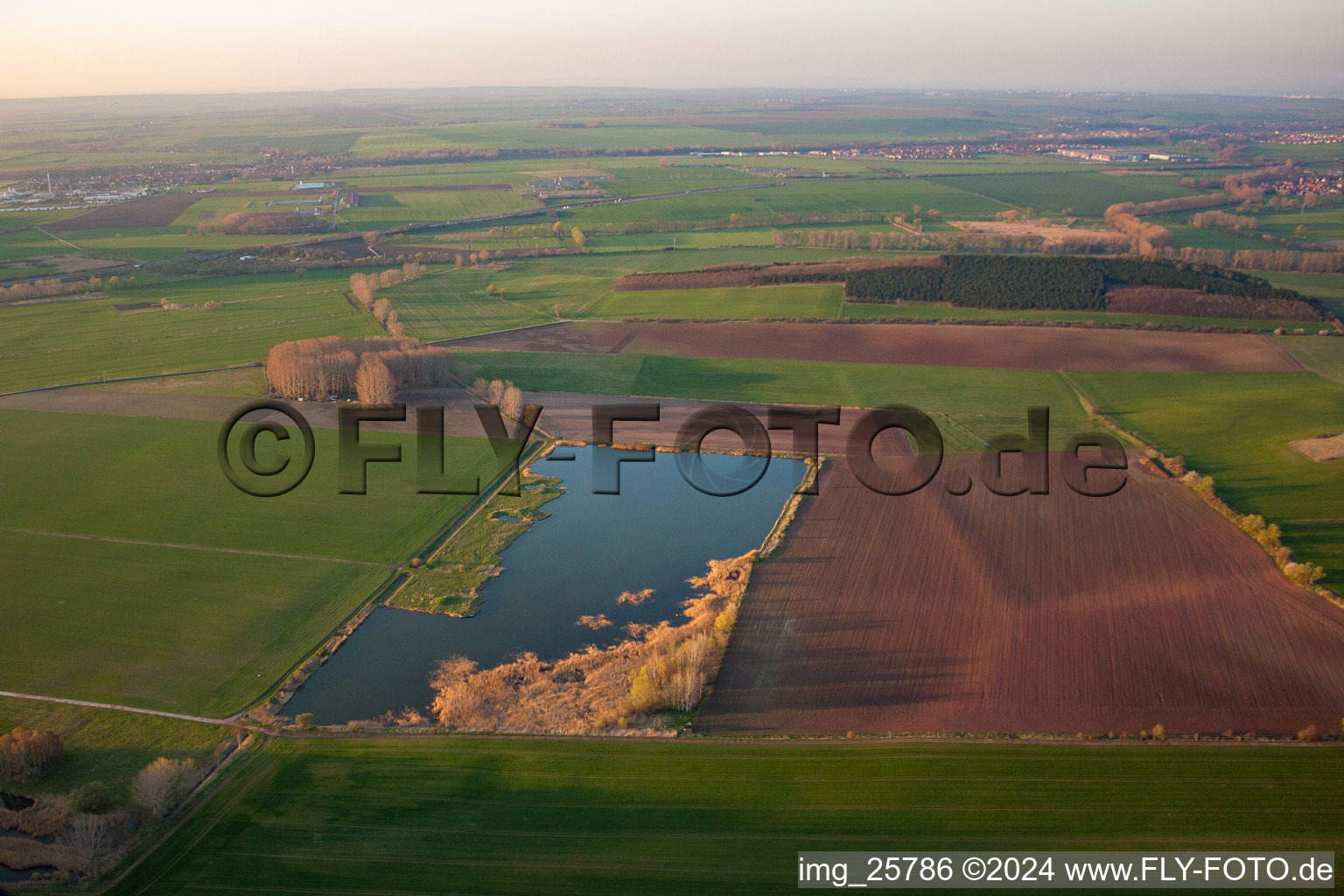 Aerial view of Röhrensee in the state Thuringia, Germany