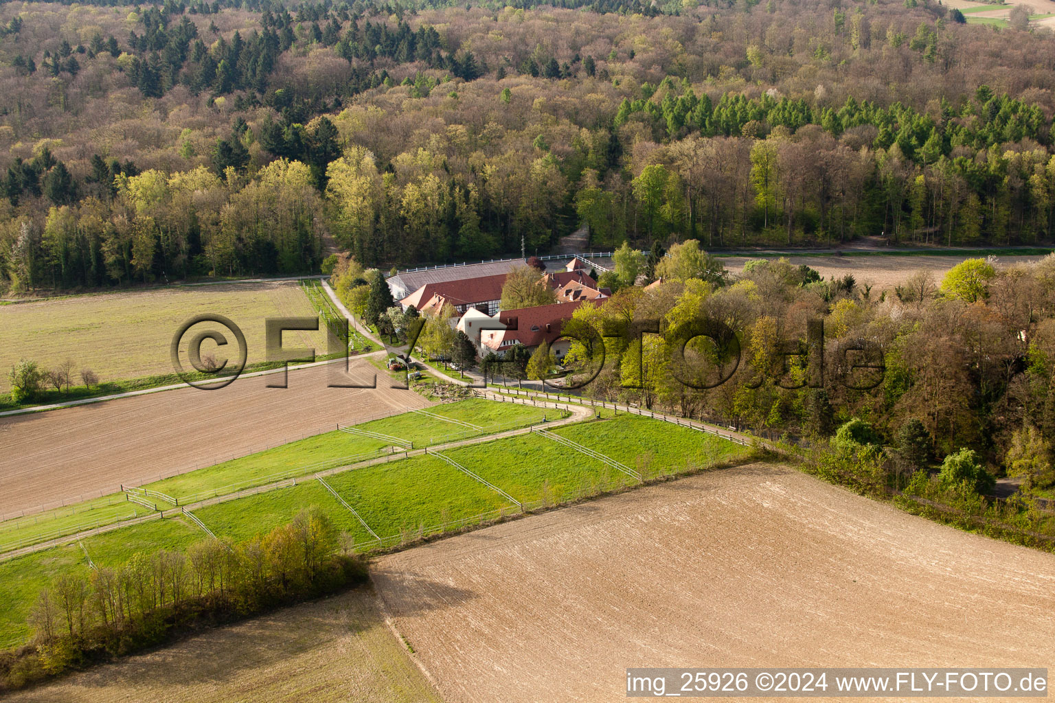 Aerial photograpy of Rittnerhof in the district Durlach in Karlsruhe in the state Baden-Wuerttemberg, Germany