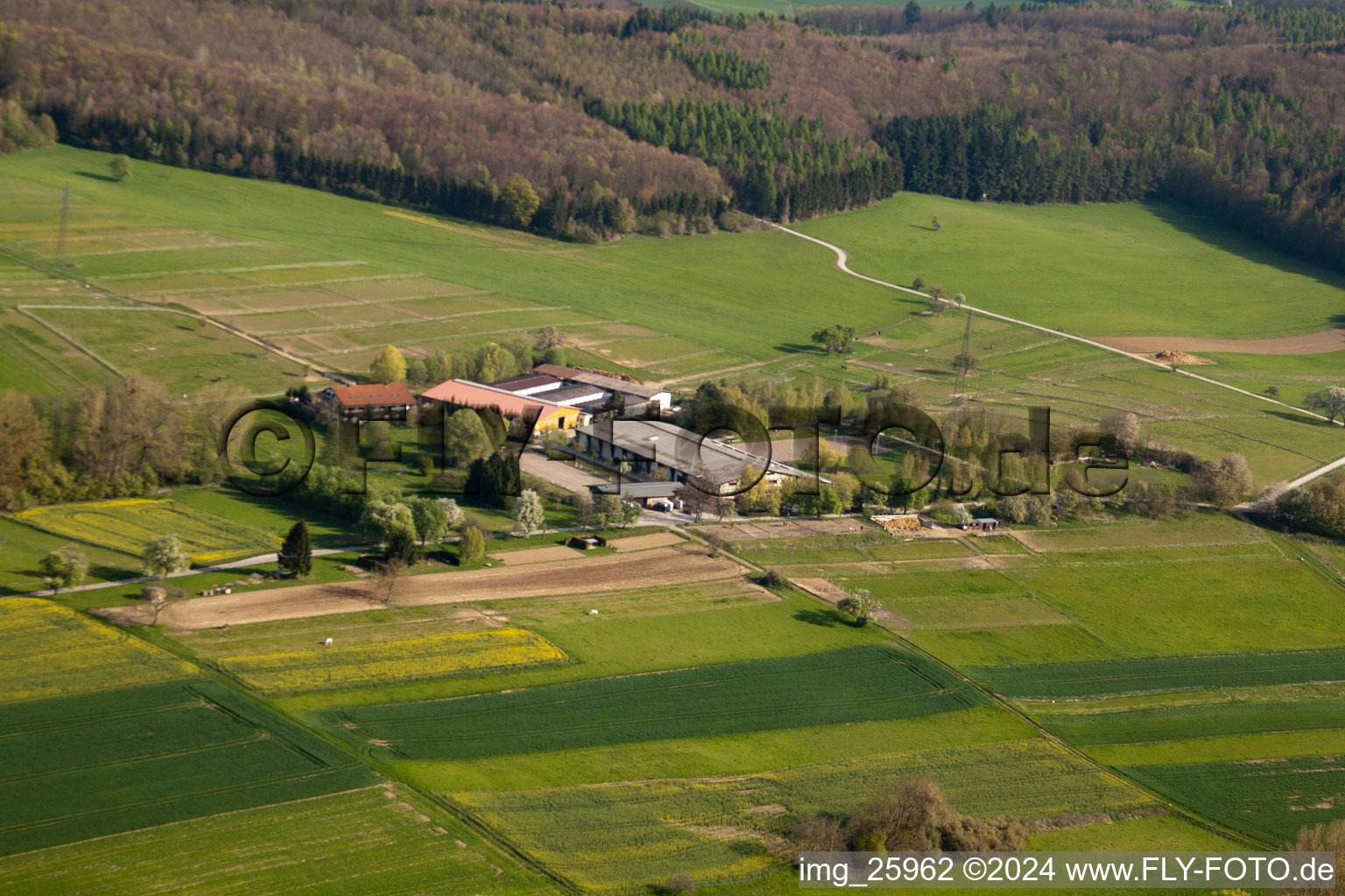 Berghausen Riding Centre in the district Wöschbach in Pfinztal in the state Baden-Wuerttemberg, Germany