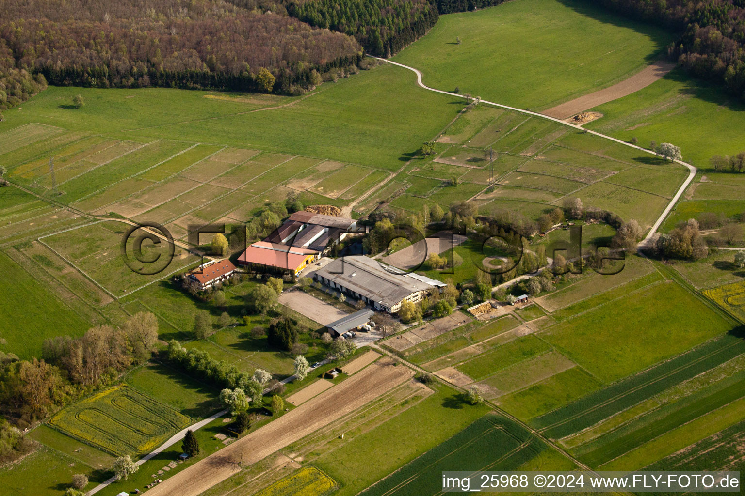 AG Animal Welfare Horses&Co in the district Wöschbach in Pfinztal in the state Baden-Wuerttemberg, Germany