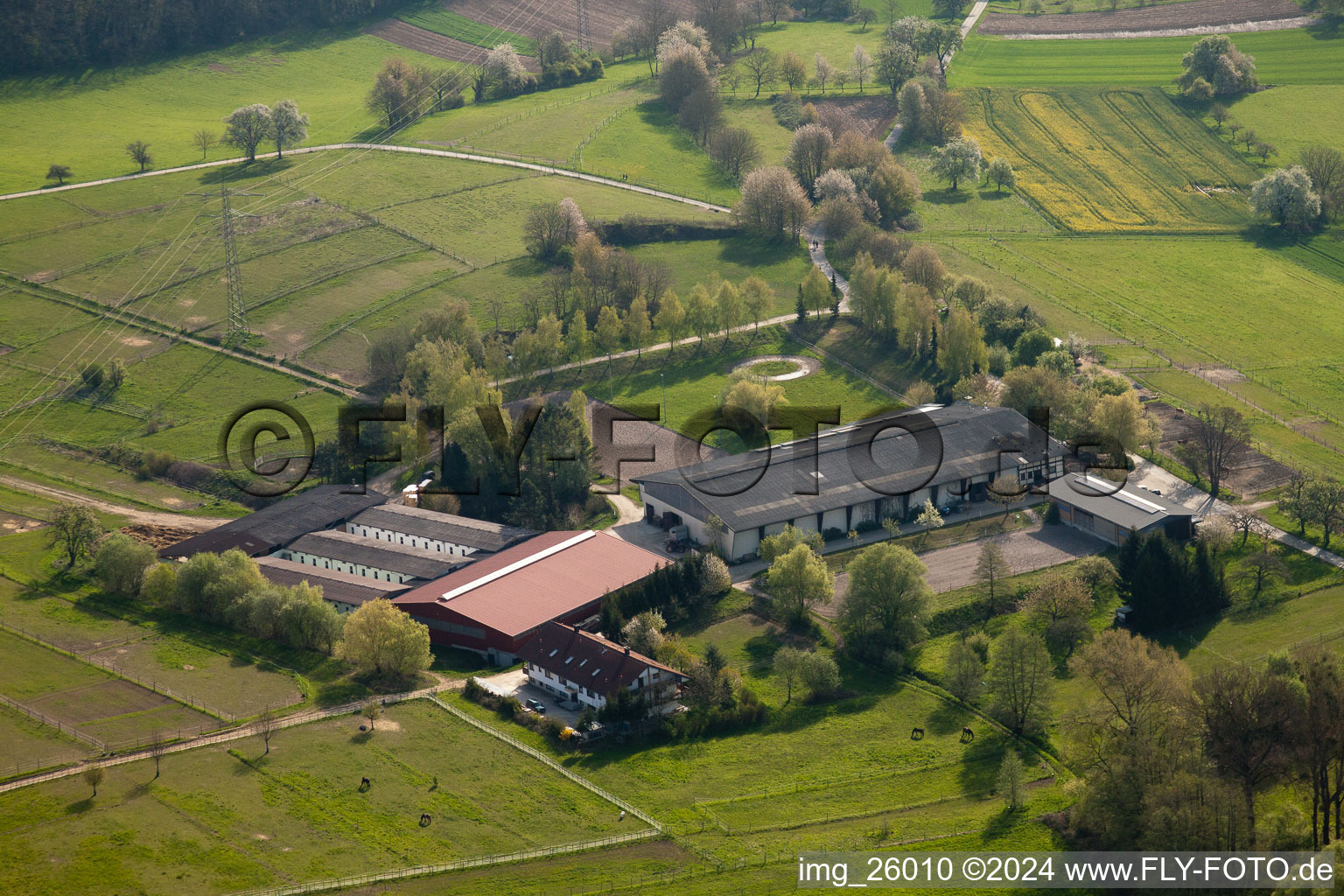 AG Animal Protection Horses&Co. El Bandido in the district Wöschbach in Pfinztal in the state Baden-Wuerttemberg, Germany