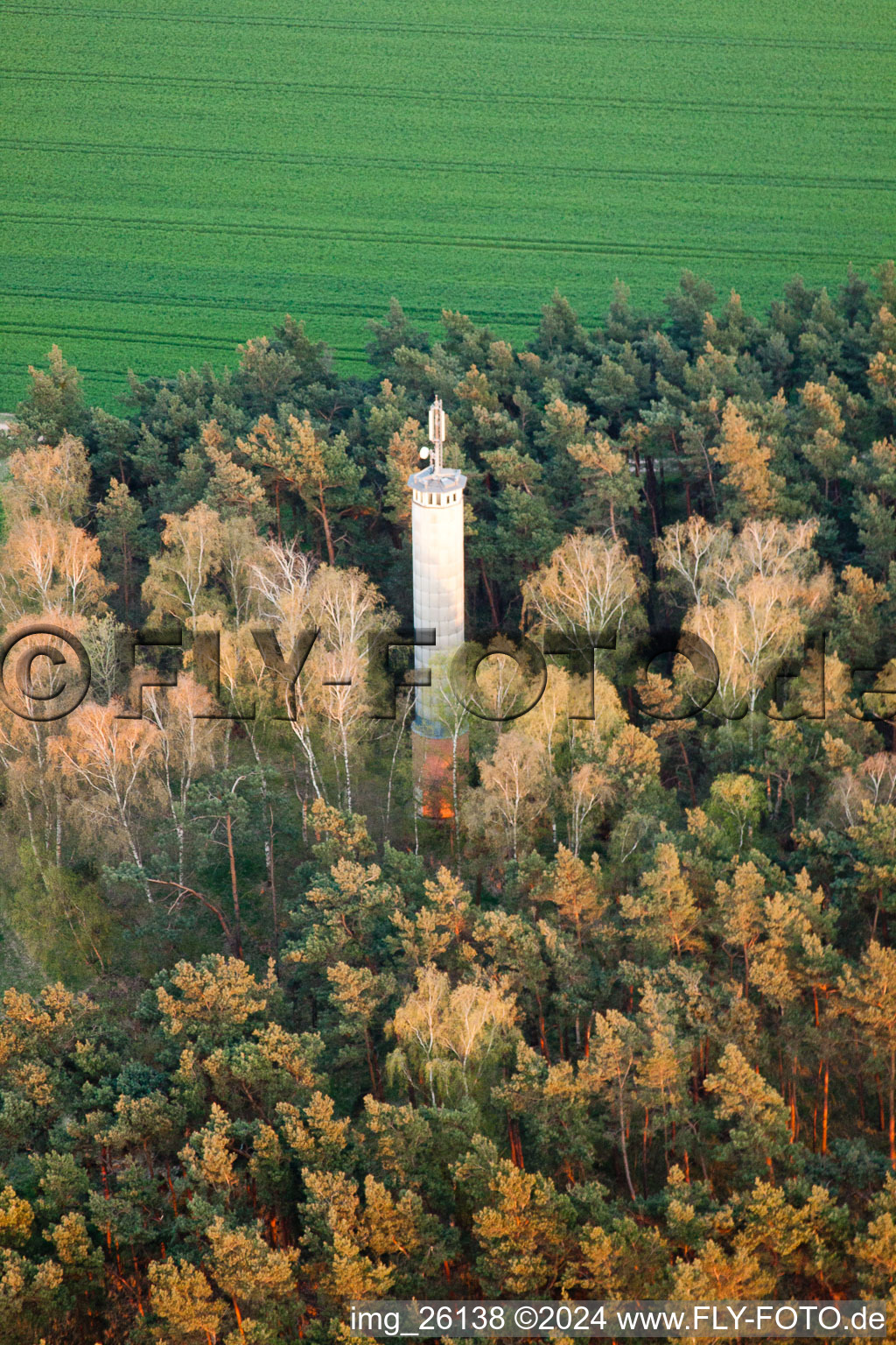 Radio tower and transmitter in a forest in Jueterbog in the state Brandenburg