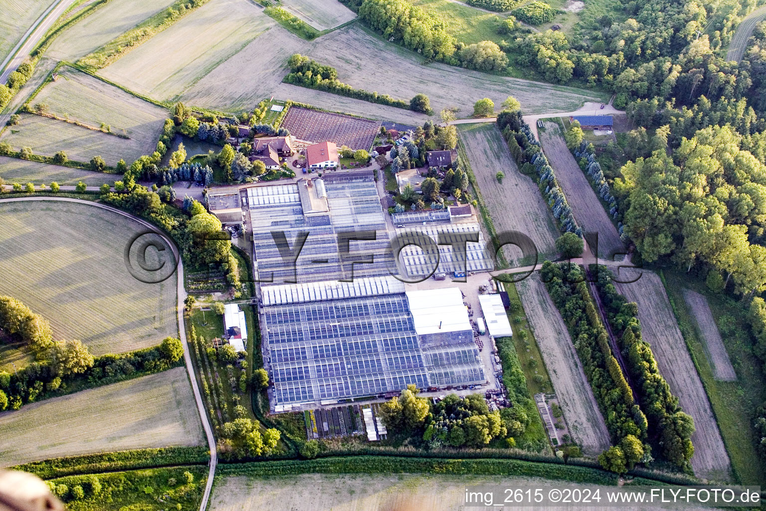 Aerial view of Geranium nursery in Hagenbach in the state Rhineland-Palatinate, Germany