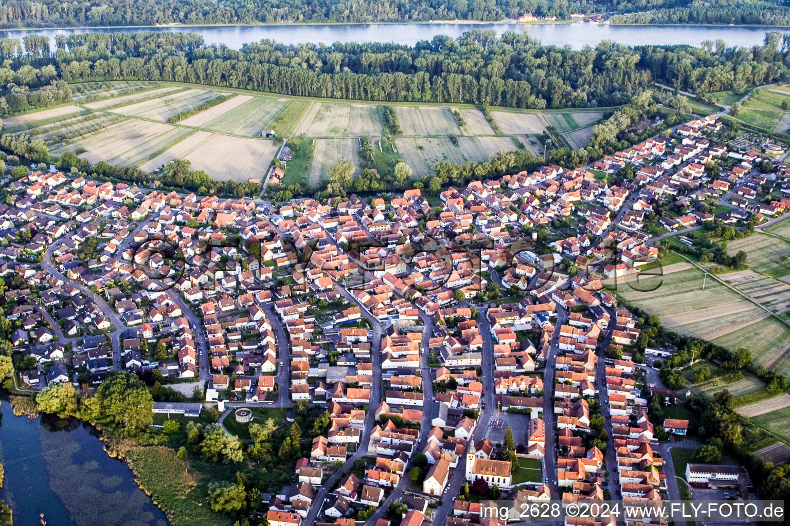 Aerial view of Village on the river bank areas of the Rhine river in Neuburg am Rhein in the state Rhineland-Palatinate, Germany