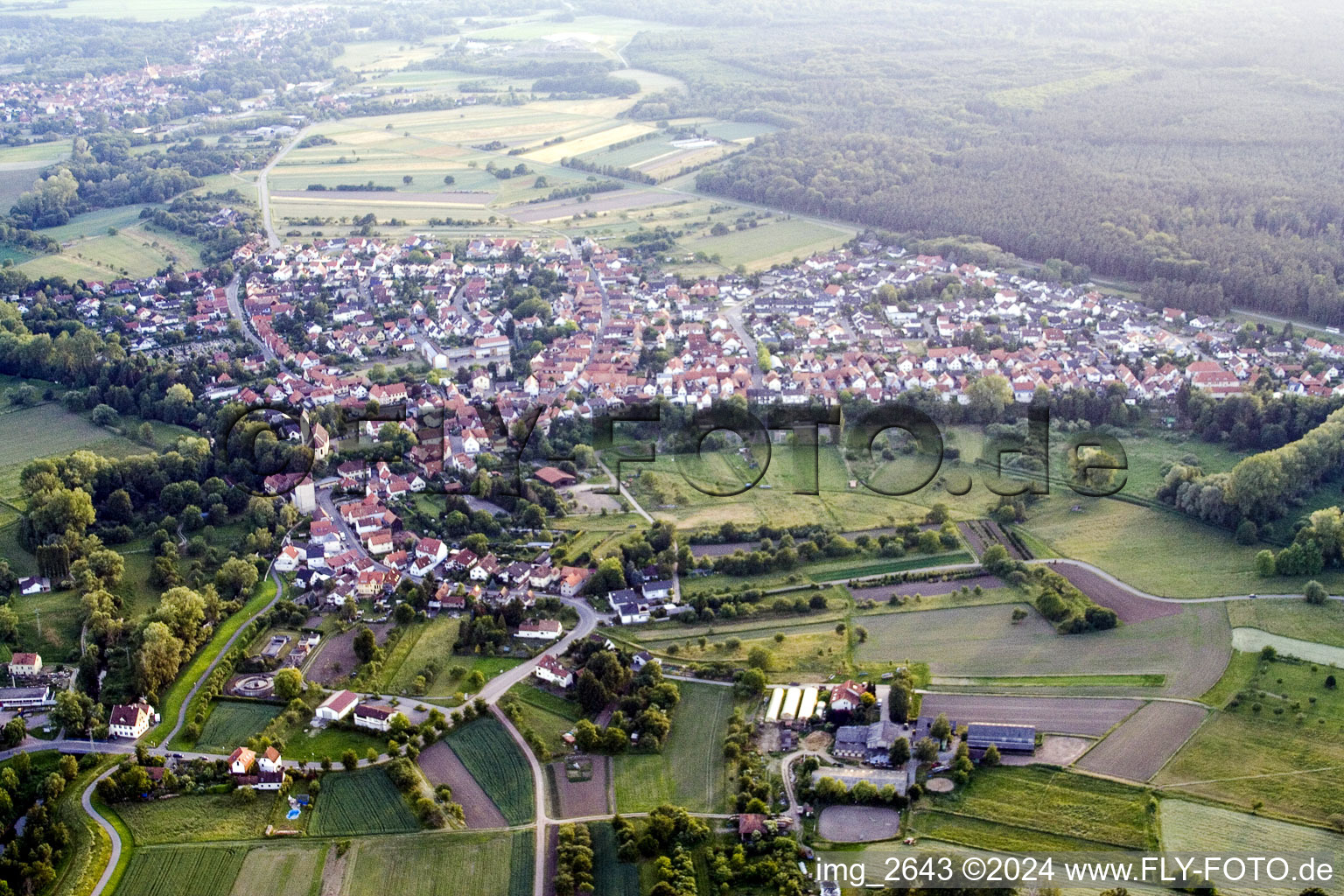 Village view in Berg (Pfalz) in the state Rhineland-Palatinate seen from above