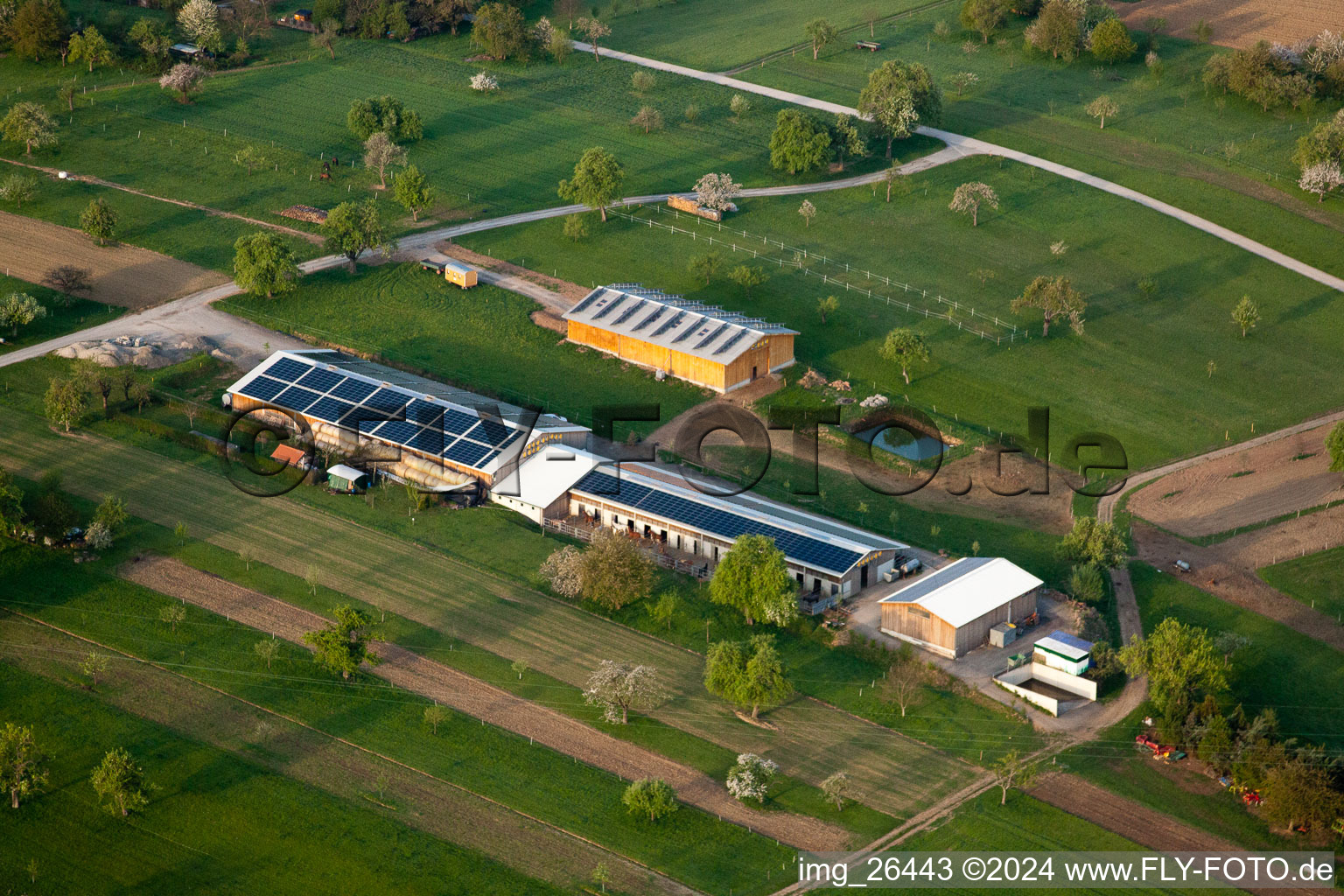 Vogel horse farm in the district Busenbach in Waldbronn in the state Baden-Wuerttemberg, Germany