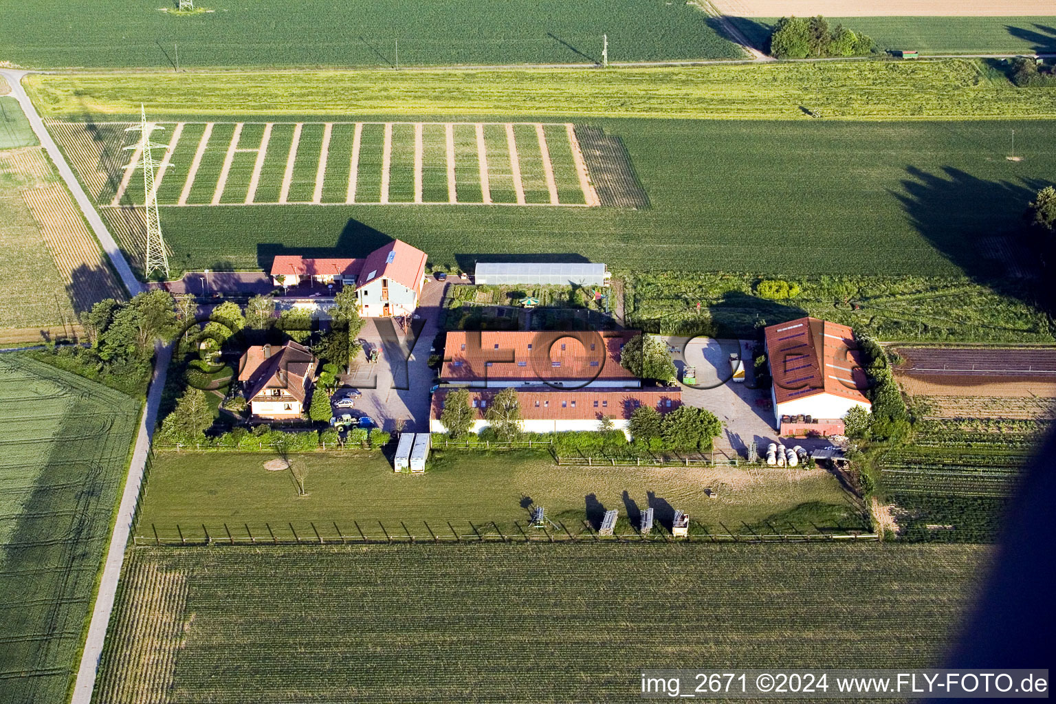 Schossberghof in Minfeld in the state Rhineland-Palatinate, Germany viewn from the air