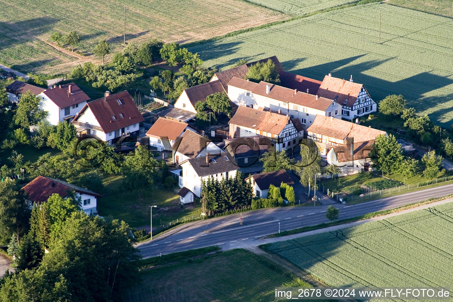Oblique view of Village - view on the edge of agricultural fields and farmland in Minfeld in the state Rhineland-Palatinate