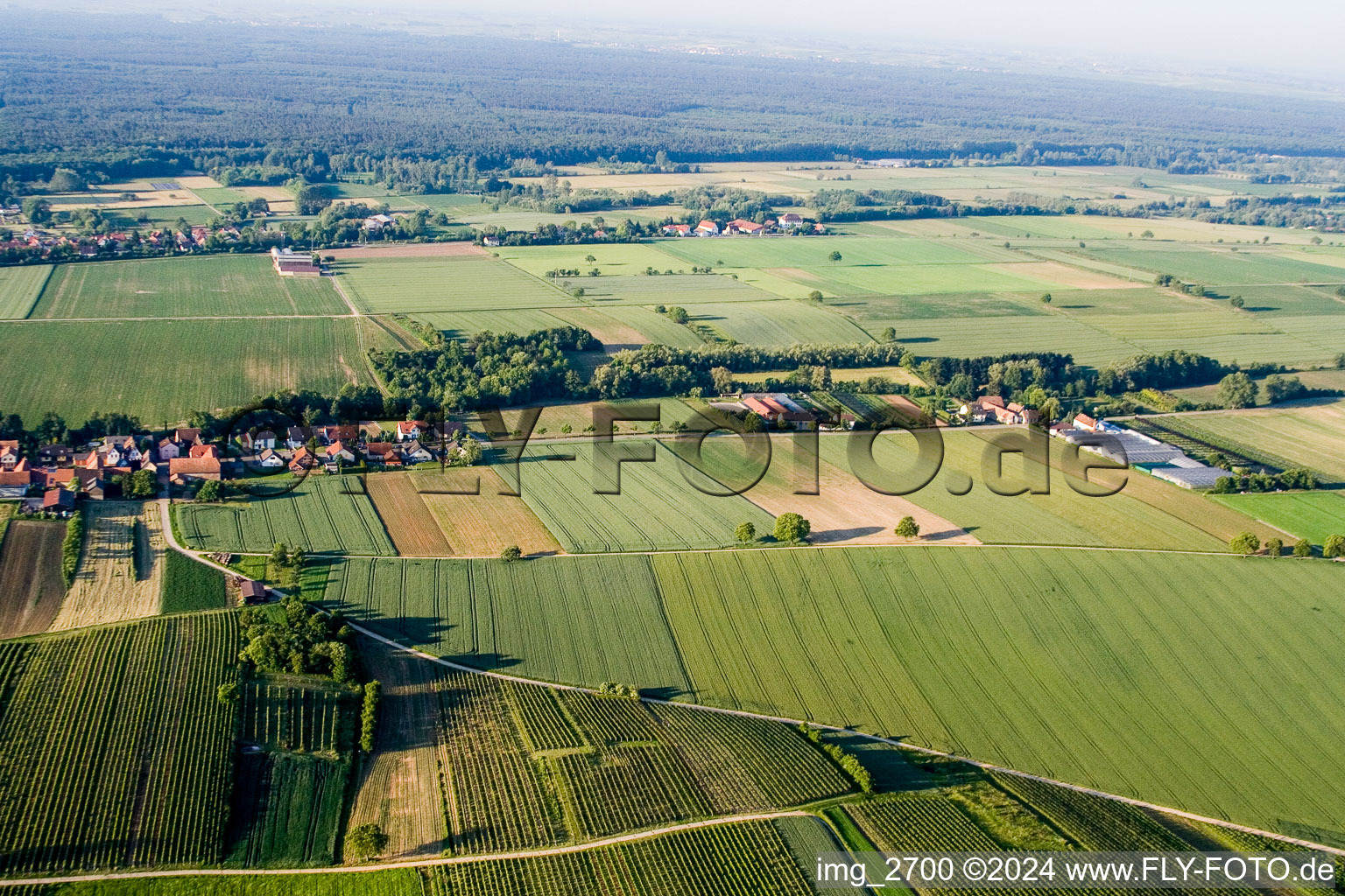 Vollmersweiler in the state Rhineland-Palatinate, Germany from the drone perspective