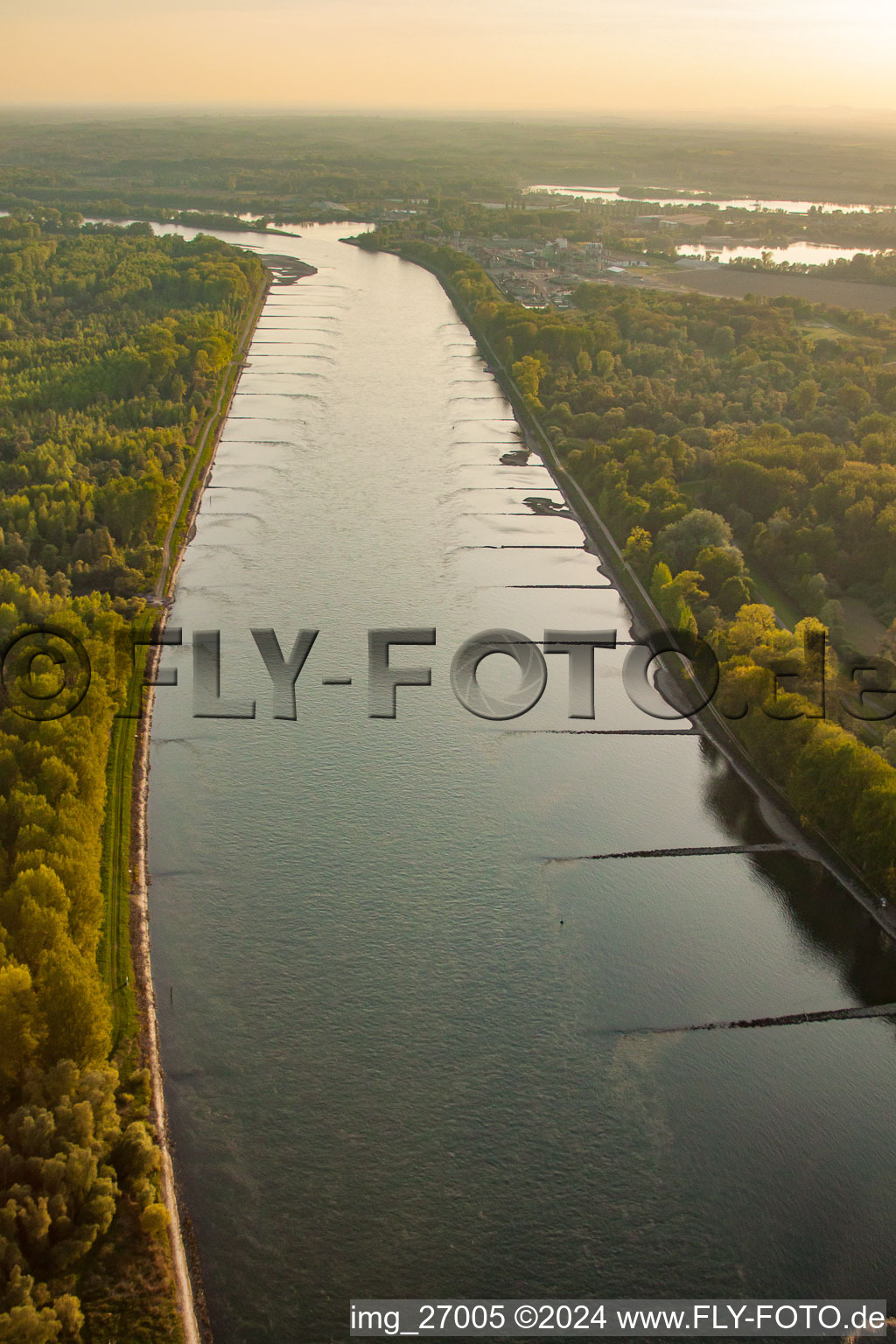 Rhine to S in Au am Rhein in the state Baden-Wuerttemberg, Germany