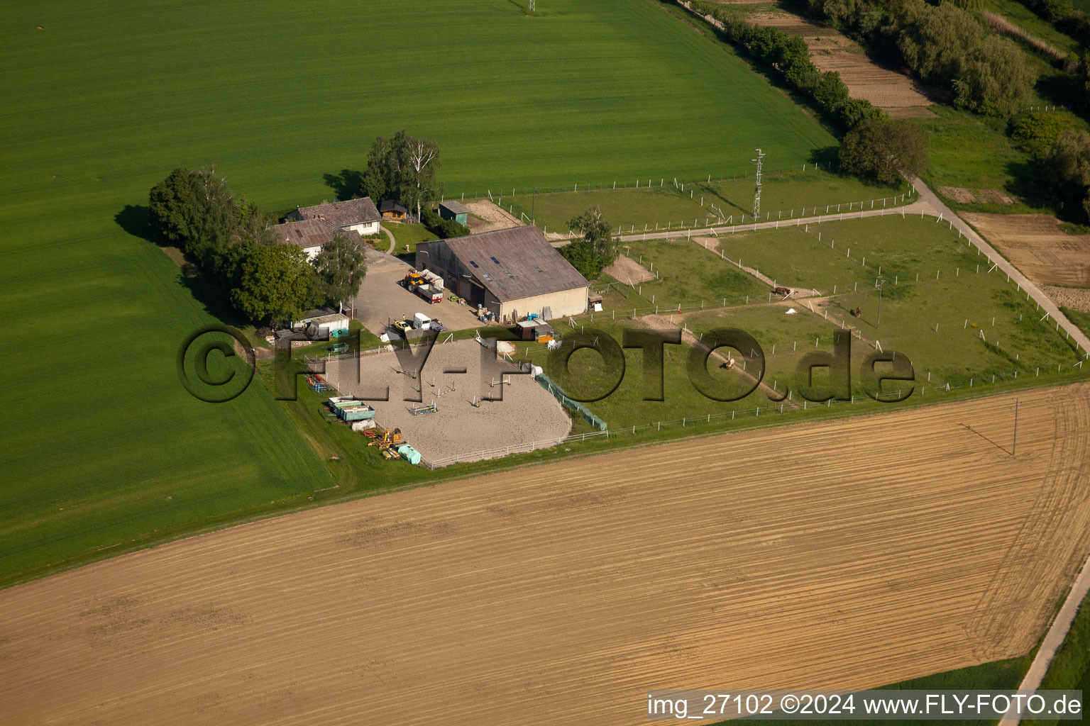 Horse farm in Impflingen in the state Rhineland-Palatinate, Germany