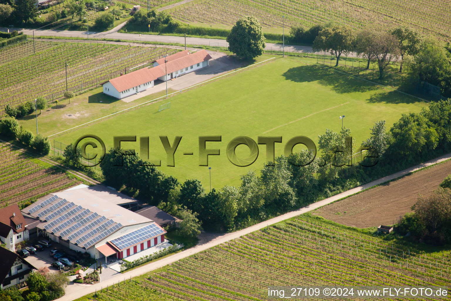 Aerial photograpy of Sports field in Impflingen in the state Rhineland-Palatinate, Germany