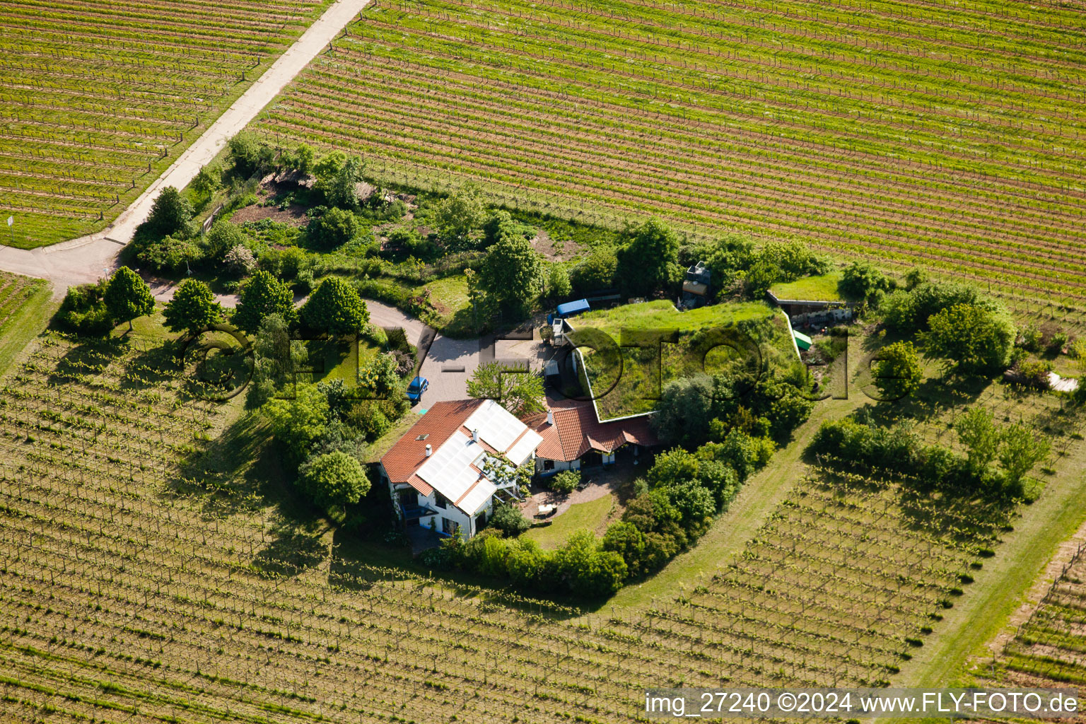 Bioland Winery Marzolph in the district Wollmesheim in Landau in der Pfalz in the state Rhineland-Palatinate, Germany