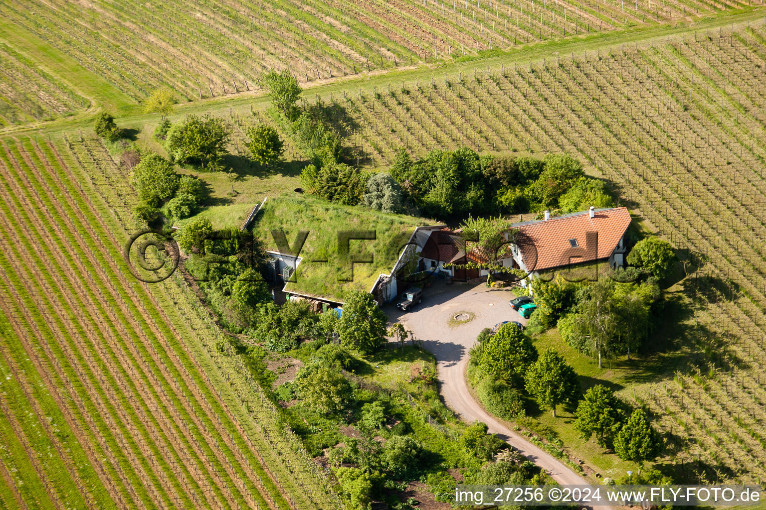 Bioland winegrowing under the grass roof Marzolph winery in the district Wollmesheim in Landau in der Pfalz in the state Rhineland-Palatinate, Germany