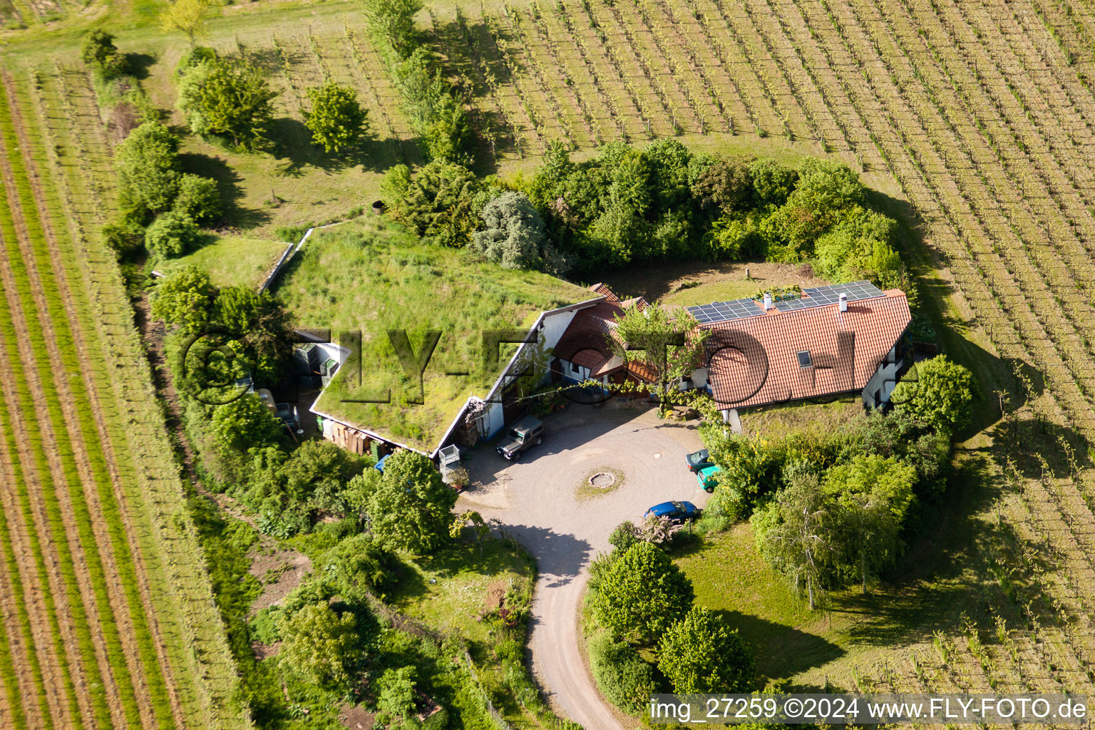 Oblique view of BiolandViticulture Unterm Grassdach Winery Marzolph in the district Wollmesheim in Landau in der Pfalz in the state Rhineland-Palatinate, Germany