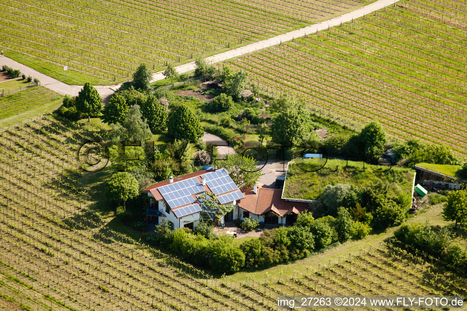 Bioland winegrowing under the grass roof Marzolph winery in the district Wollmesheim in Landau in der Pfalz in the state Rhineland-Palatinate, Germany seen from above