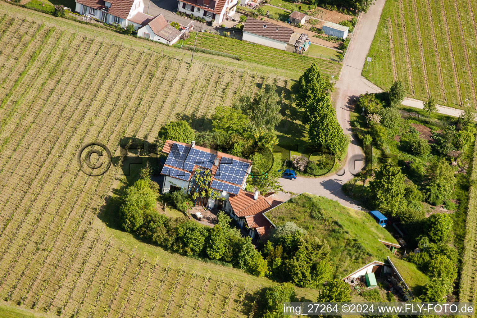 Bioland winegrowing under the grass roof Marzolph winery in the district Wollmesheim in Landau in der Pfalz in the state Rhineland-Palatinate, Germany from the plane