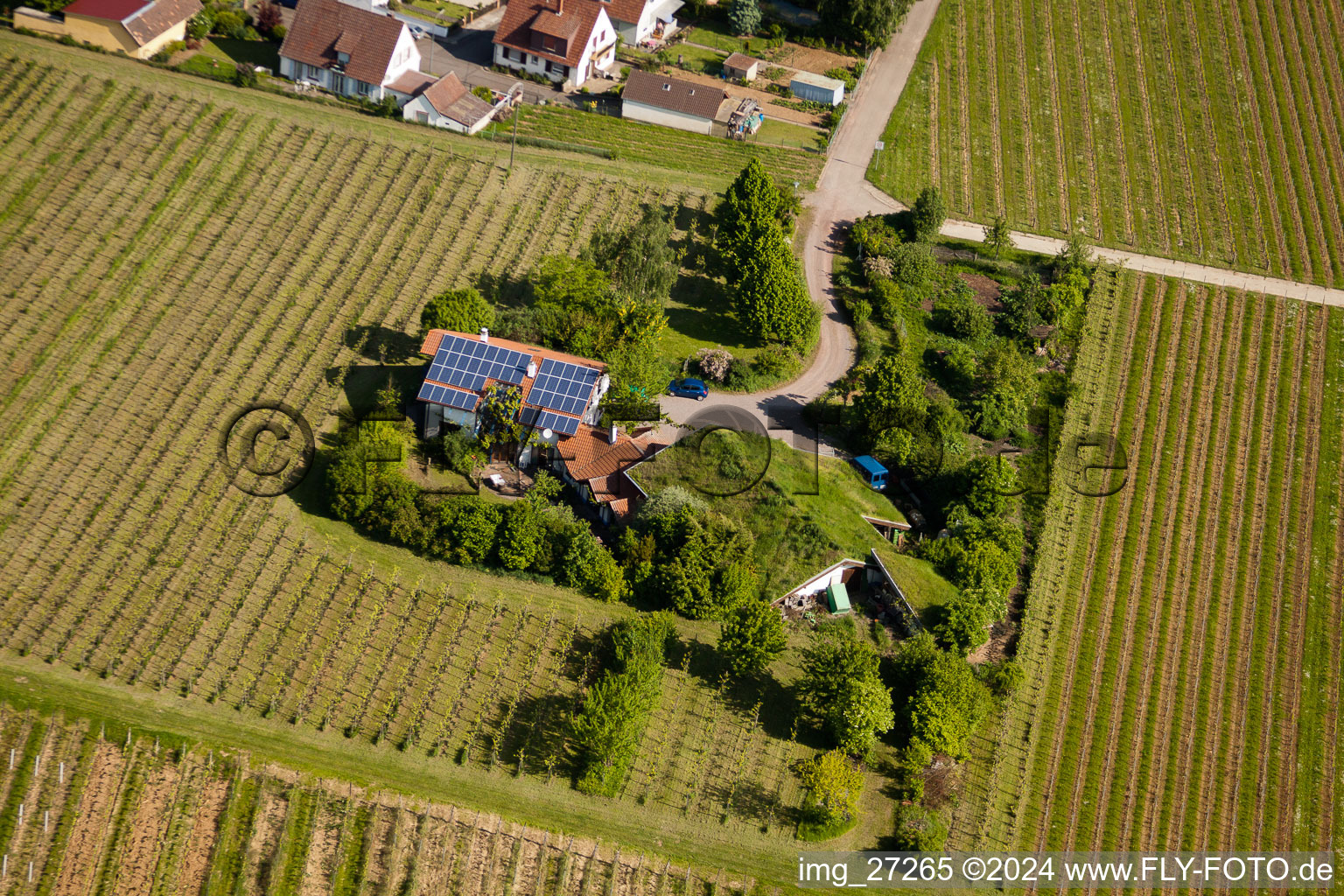 Bird's eye view of BiolandViticulture Unterm Grassdach Winery Marzolph in the district Wollmesheim in Landau in der Pfalz in the state Rhineland-Palatinate, Germany