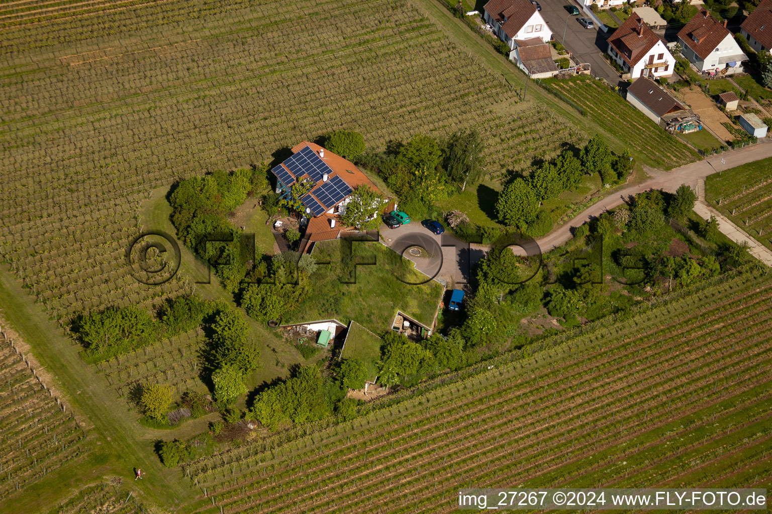 Drone recording of Bioland winegrowing under the grass roof Marzolph winery in the district Wollmesheim in Landau in der Pfalz in the state Rhineland-Palatinate, Germany