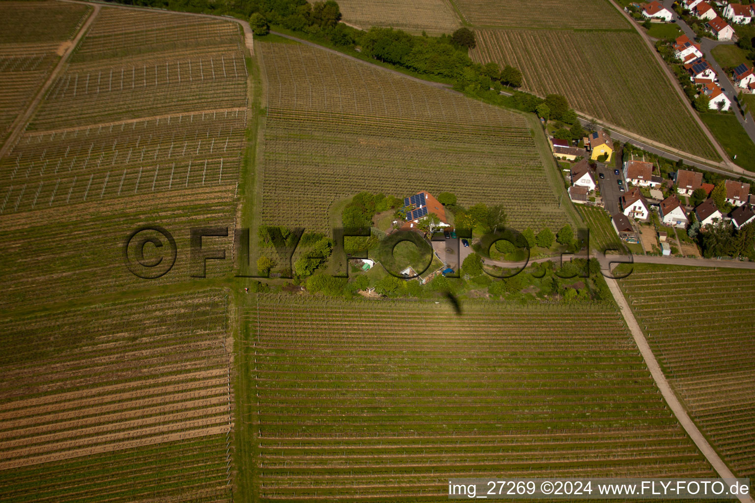 Bioland winegrowing under the grass roof Marzolph winery in the district Wollmesheim in Landau in der Pfalz in the state Rhineland-Palatinate, Germany from the drone perspective