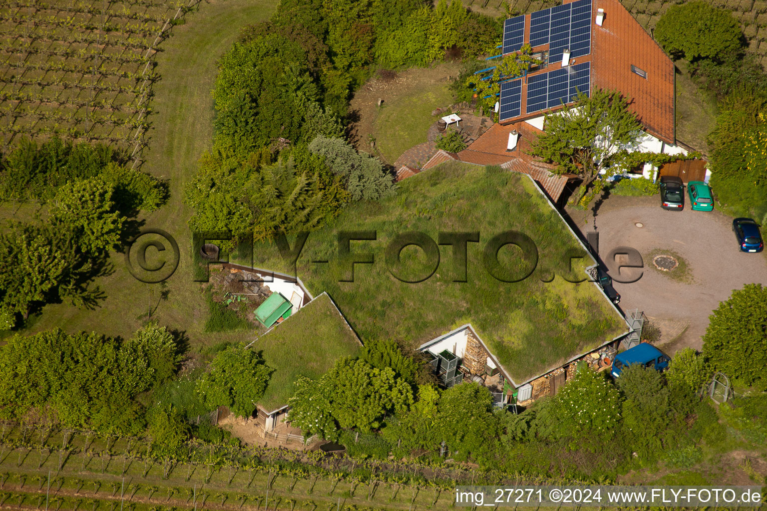 Bioland winegrowing under the grass roof Marzolph winery in the district Wollmesheim in Landau in der Pfalz in the state Rhineland-Palatinate, Germany from a drone