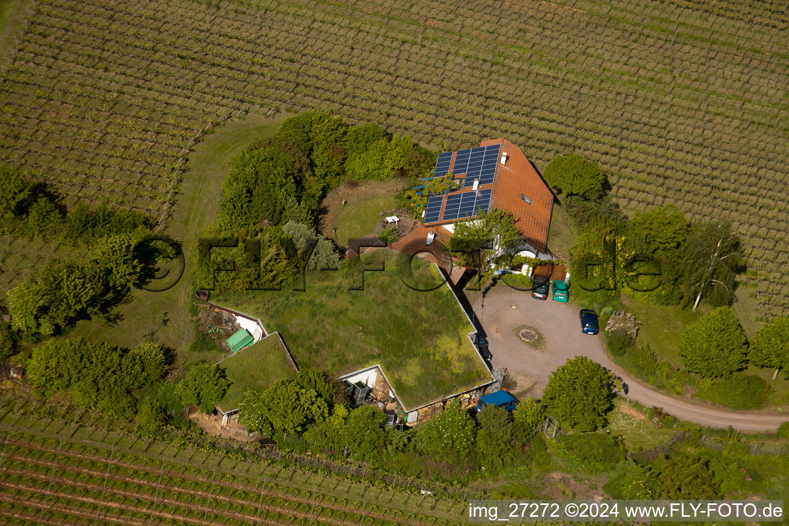 Bioland winegrowing under the grass roof Marzolph winery in the district Wollmesheim in Landau in der Pfalz in the state Rhineland-Palatinate, Germany seen from a drone