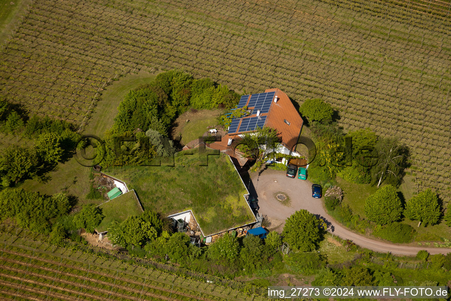 Aerial view of Bioland winegrowing under the grass roof Marzolph winery in the district Wollmesheim in Landau in der Pfalz in the state Rhineland-Palatinate, Germany