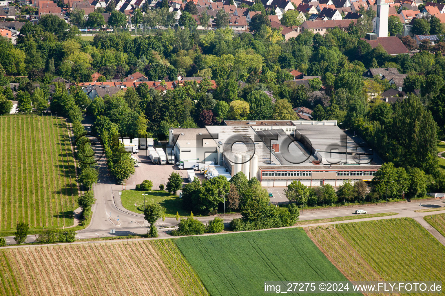 Wollmesheimer Höhe, Hofmeister-Brot GmbH in Landau in der Pfalz in the state Rhineland-Palatinate, Germany