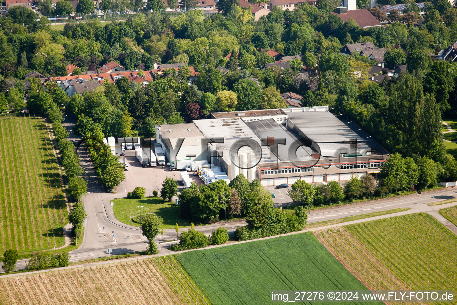 Aerial view of Wollmesheimer Höhe, Hofmeister-Brot GmbH in Landau in der Pfalz in the state Rhineland-Palatinate, Germany