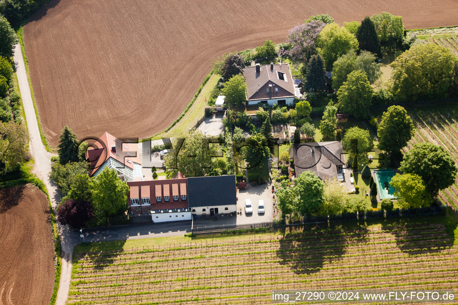 Smallpox sentence in Landau in der Pfalz in the state Rhineland-Palatinate, Germany