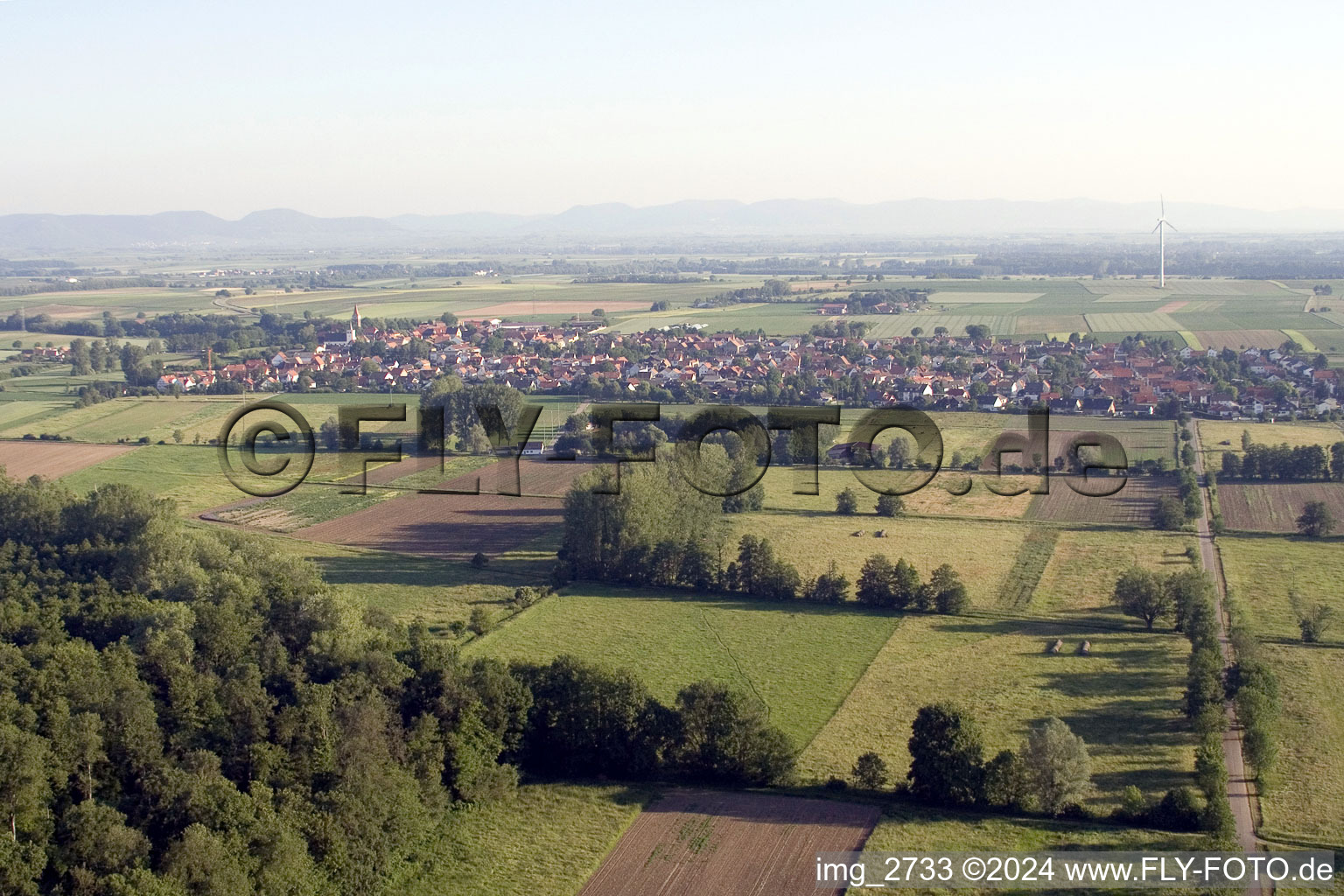 From the south in Minfeld in the state Rhineland-Palatinate, Germany