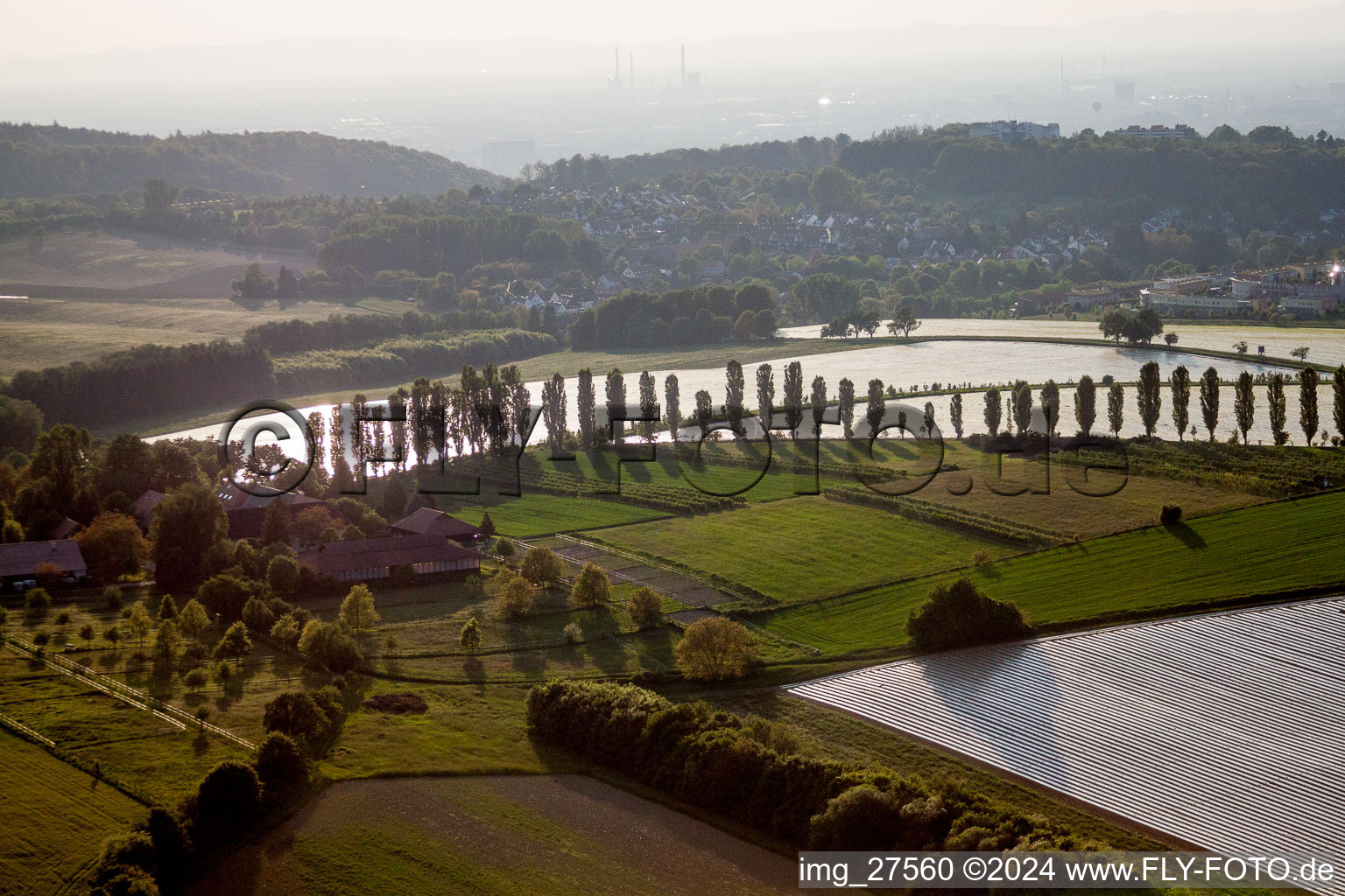 Row of trees on a country road on a field edge in the district Hohenwettersbach in Karlsruhe in the state Baden-Wurttemberg, Germany