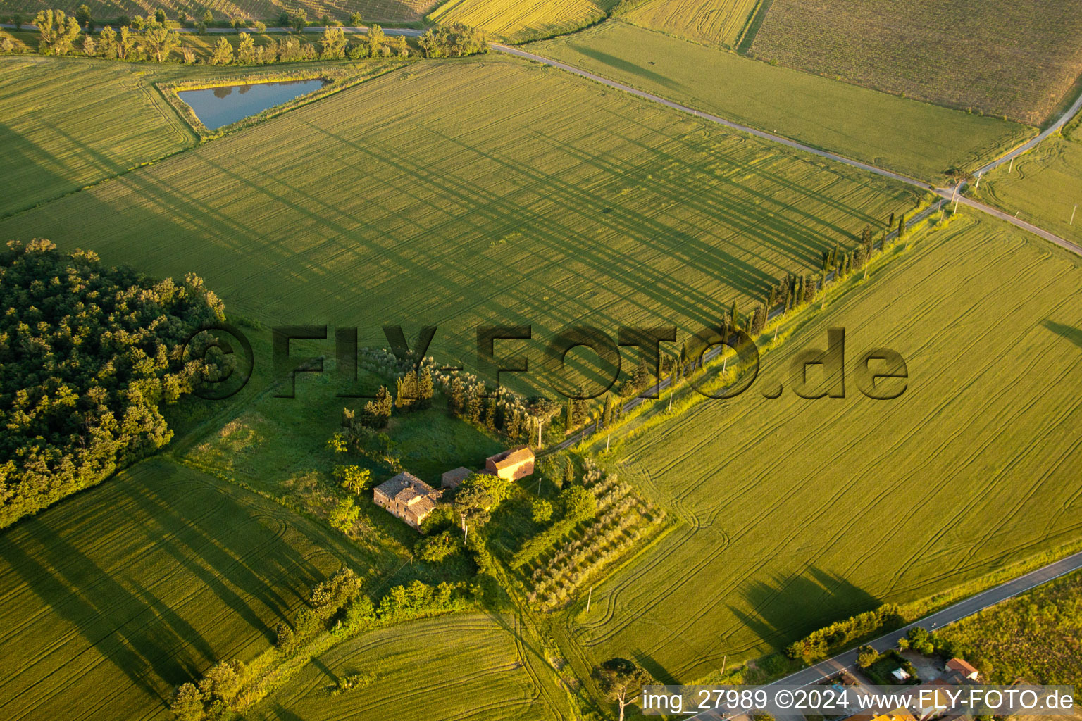 Grassland structures of a field landscape with long shadows of the cypress avenue of the old farm Az. Agr. San Luciano in Monte San Savino in the state Arezzo, Italy