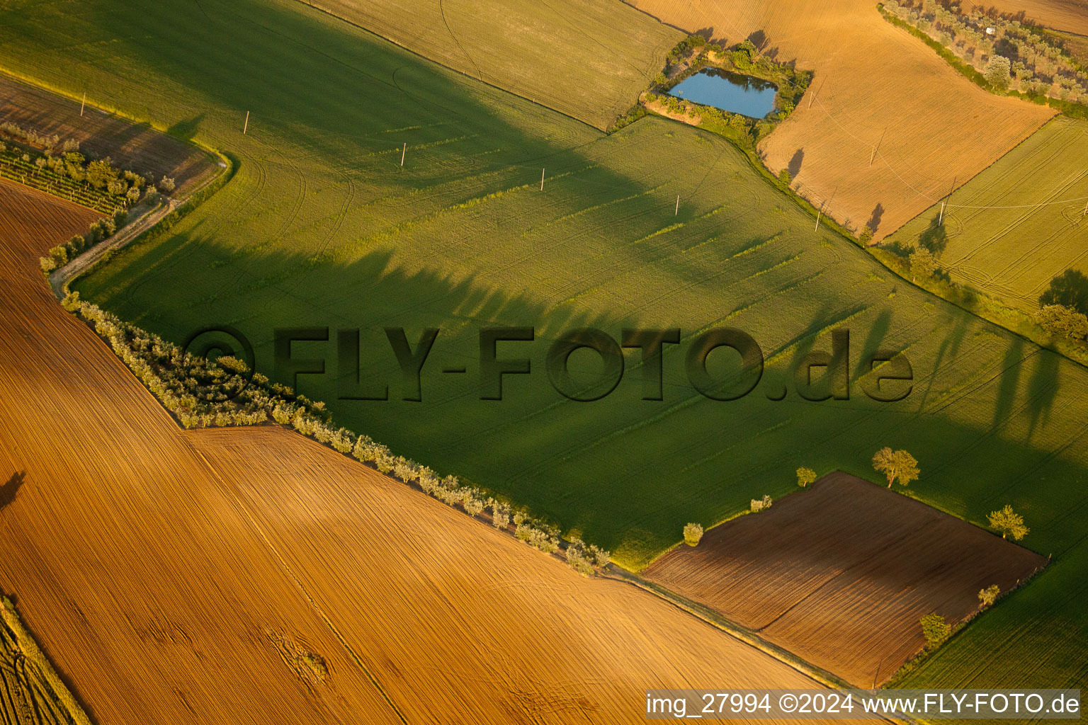 Sunset over the field landscape in Monte San Savino in the state Arezzo, Italy