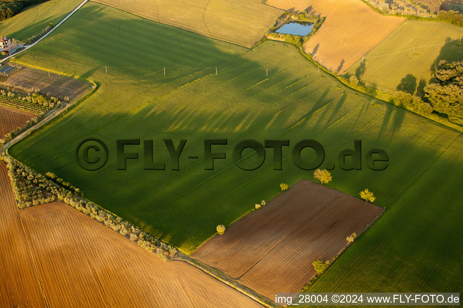 Aerial view of Montagnano in the state Tuscany, Italy