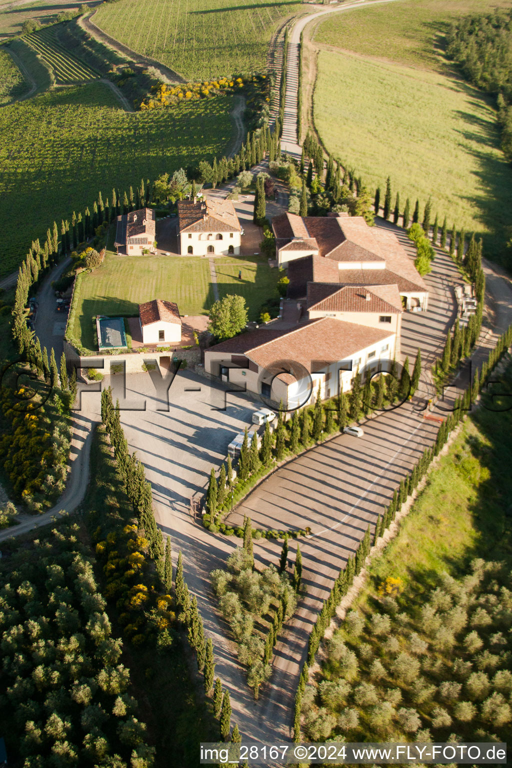 Farm with cypress alley in Caparzo in Toscana, Italy