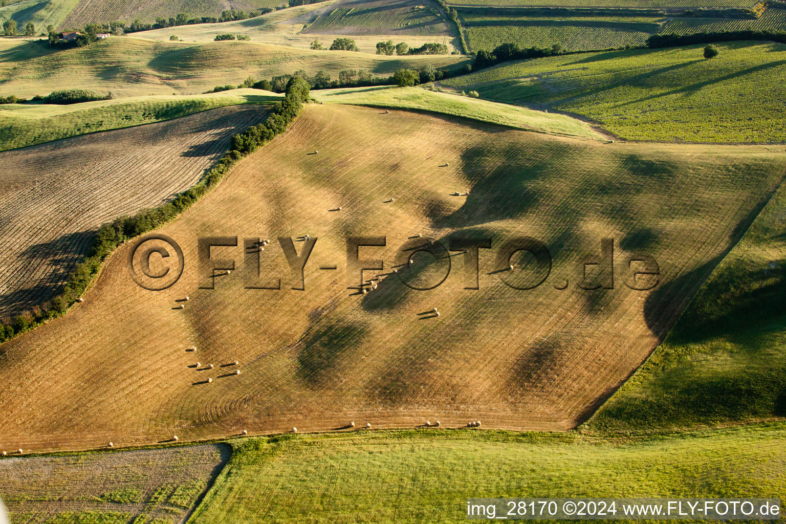 Straw harvest landscape with round bales in a field near Montsoli in Montalcino in the state Siena, Italy