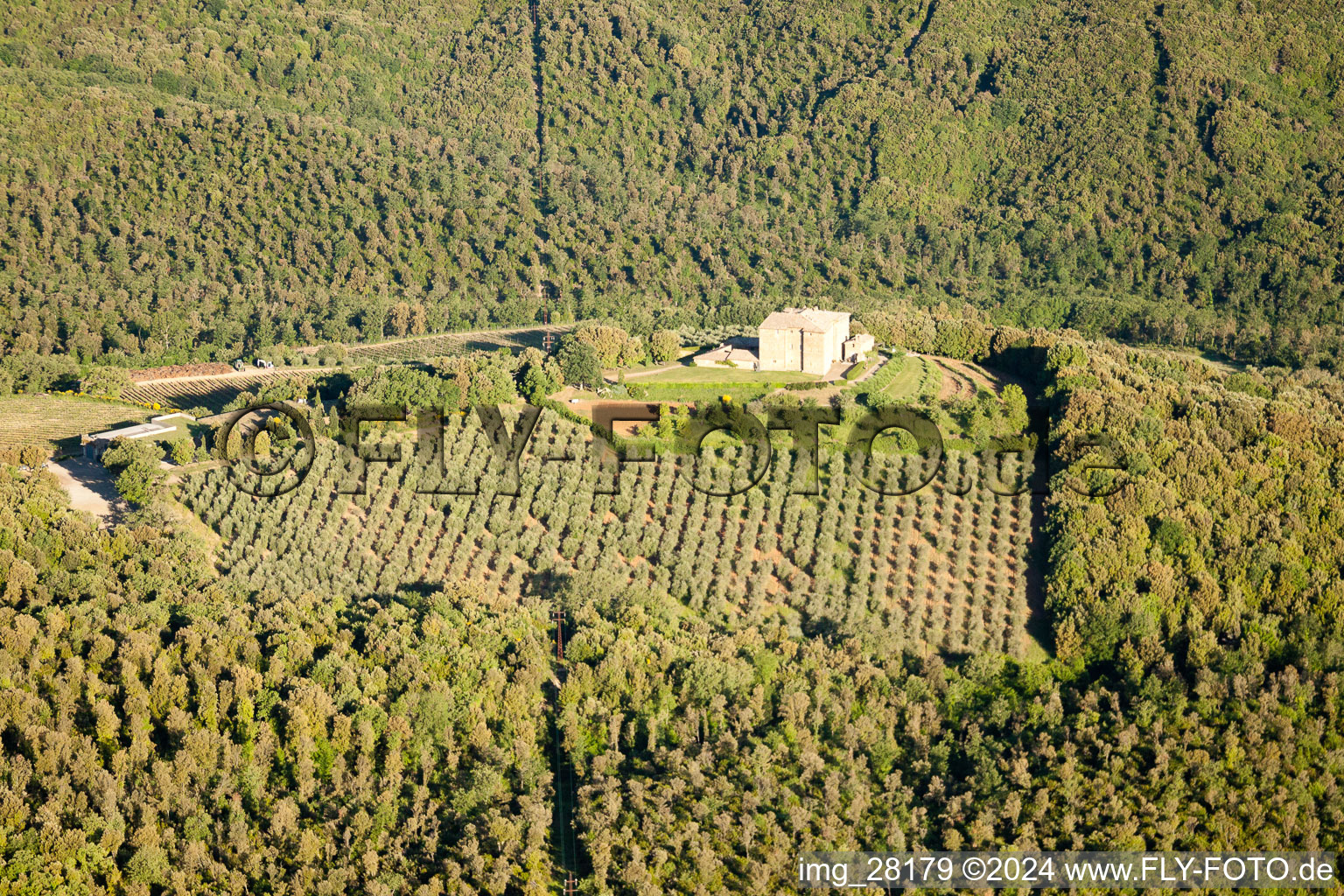 Aerial view of Montalcino in the state Siena, Italy