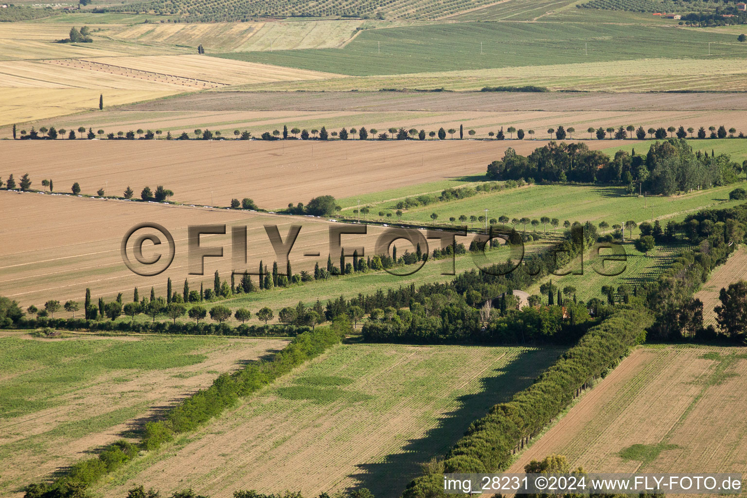 Montepescali in the state Tuscany, Italy