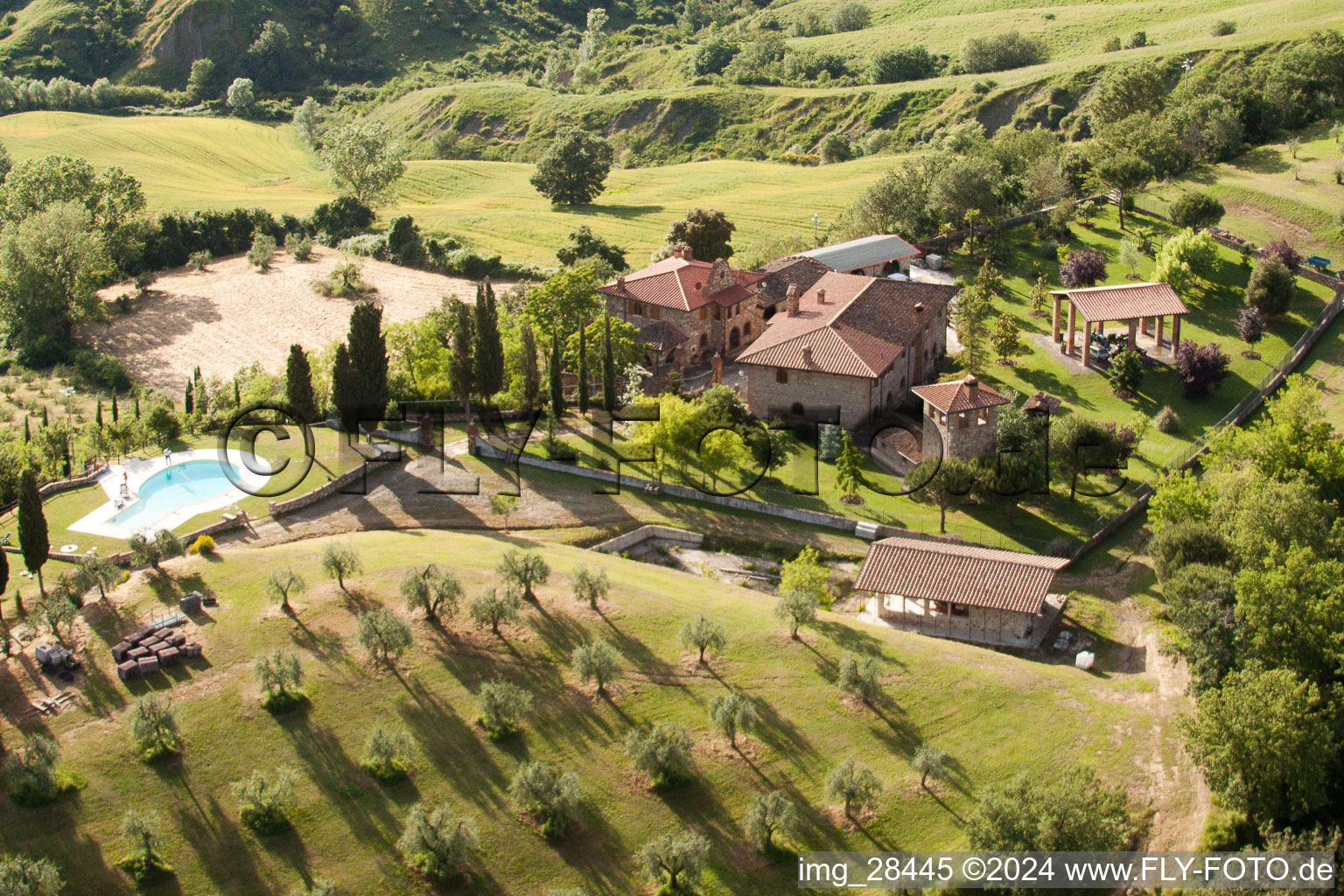 Luxury holiday villa with pool and olive grove in the district Podere Montecerconi in Asciano in the state Siena, Italy