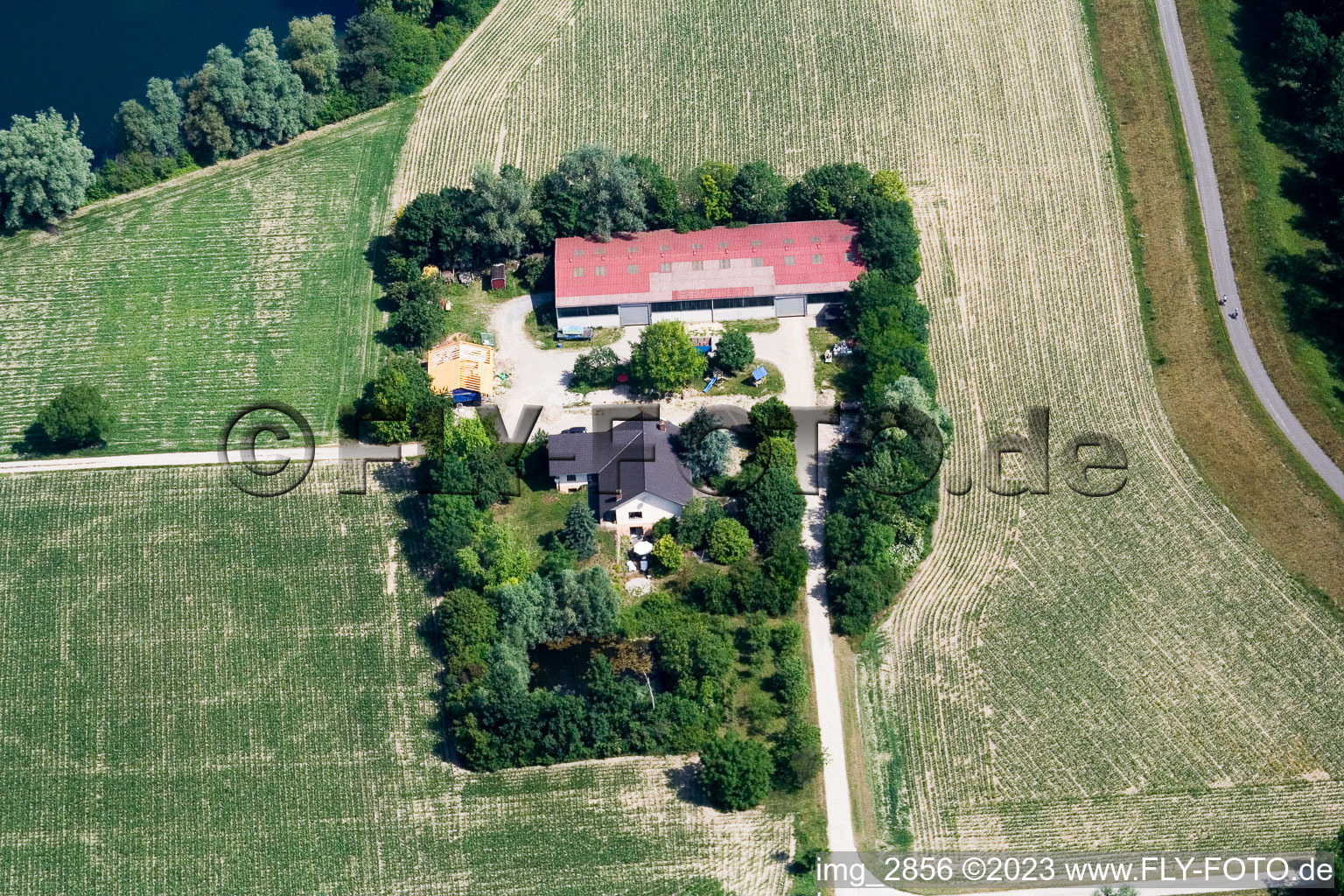 Seehof (corn maze) in Leimersheim in the state Rhineland-Palatinate, Germany