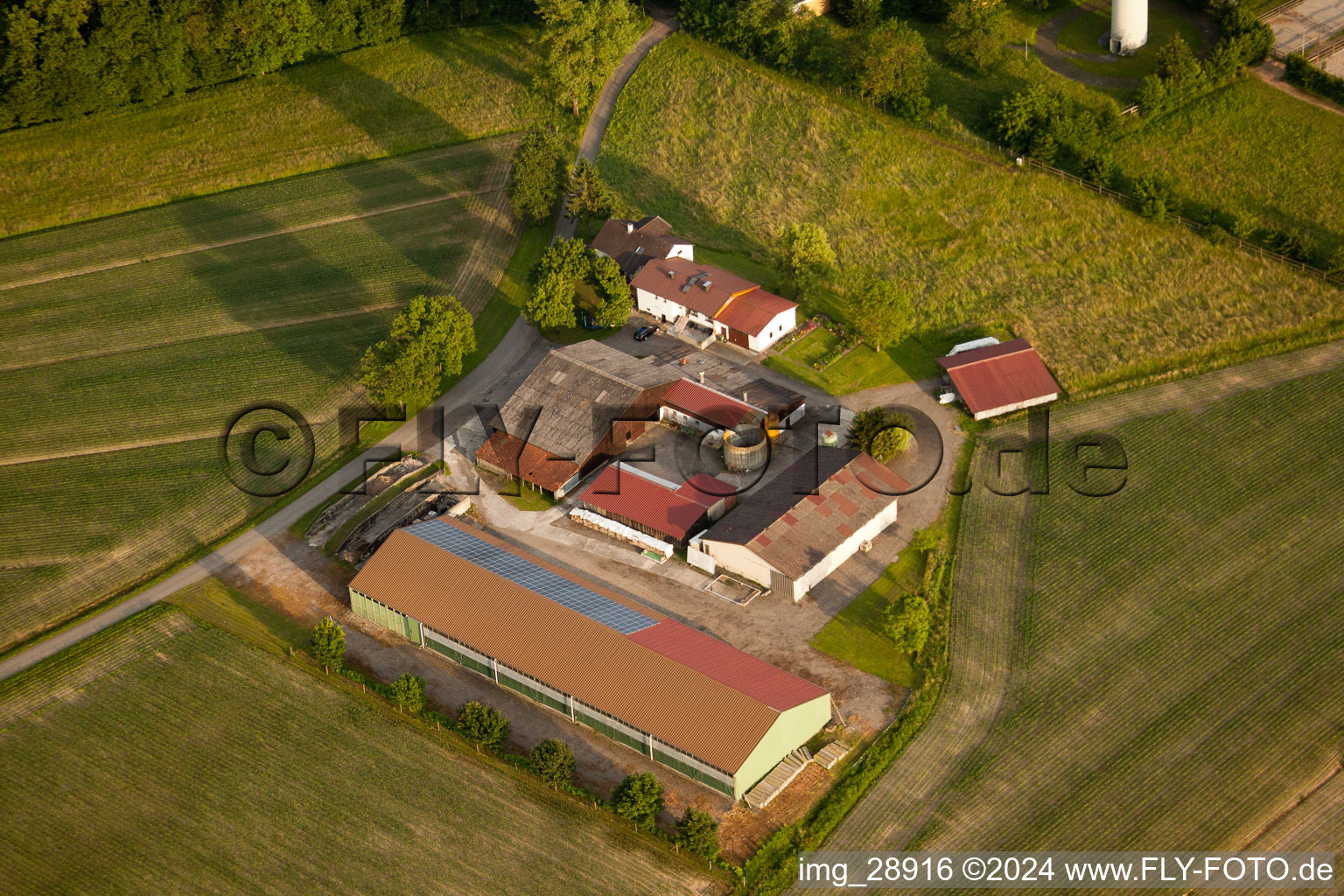 Aerial view of Kaiserhof Stud in the district Legelshurst in Willstätt in the state Baden-Wuerttemberg, Germany