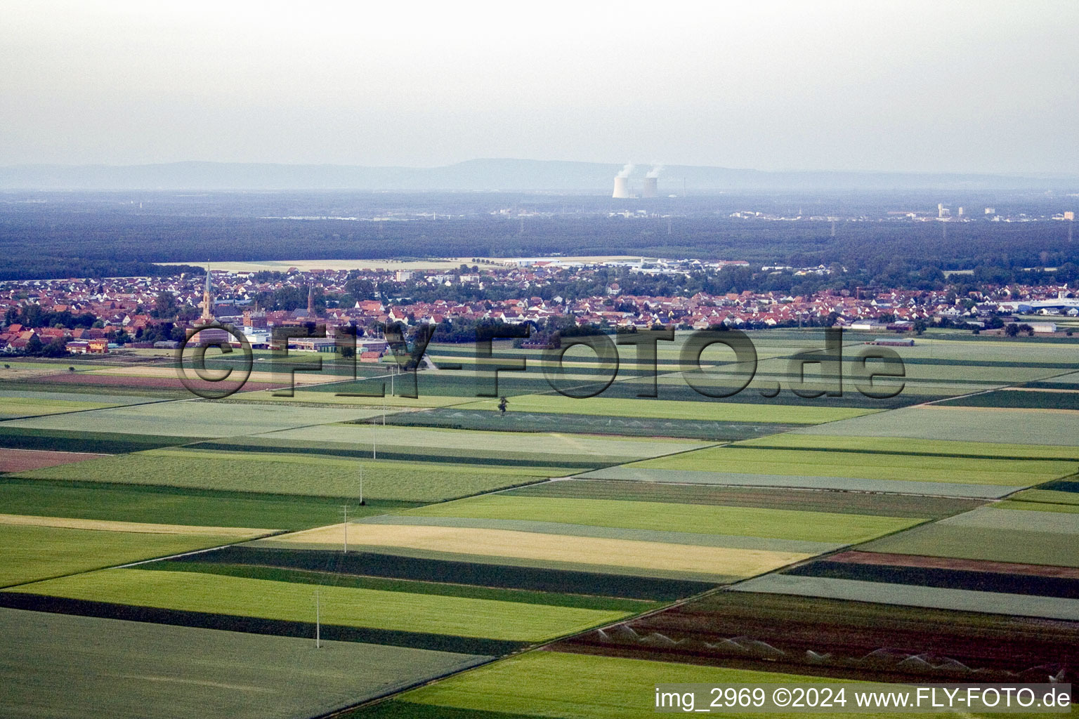 Oblique view of Town View of the streets and houses of the residential areas in Bellheim in the state Rhineland-Palatinate