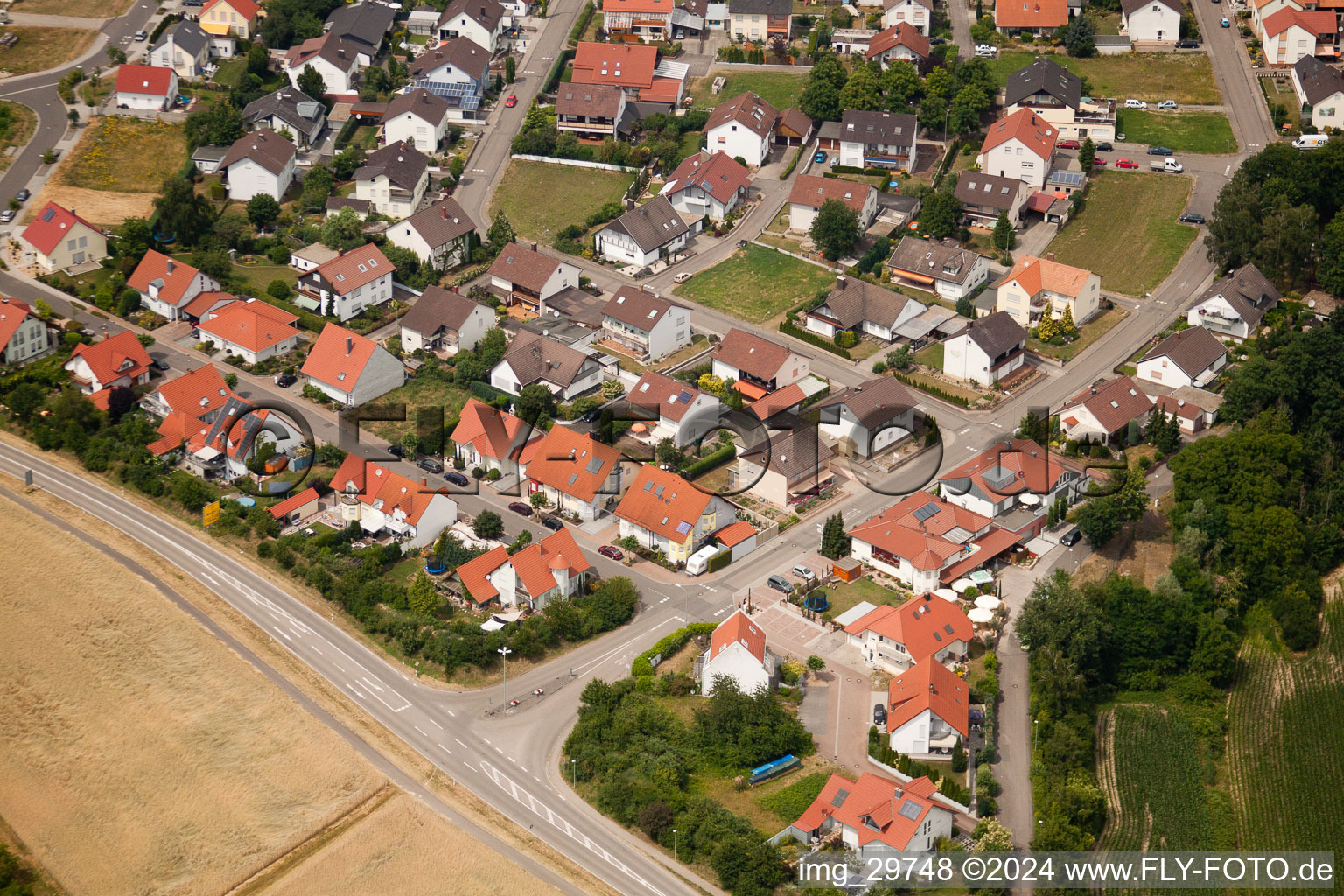 Neupotz in the state Rhineland-Palatinate, Germany from above