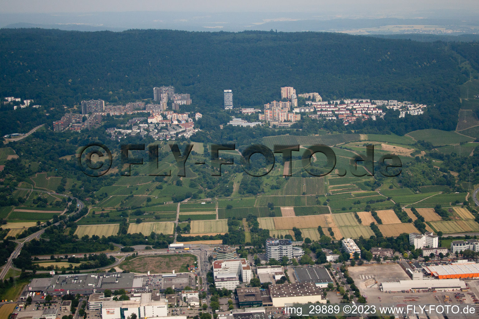 Badger hump in the district Rohrbach in Heidelberg in the state Baden-Wuerttemberg, Germany