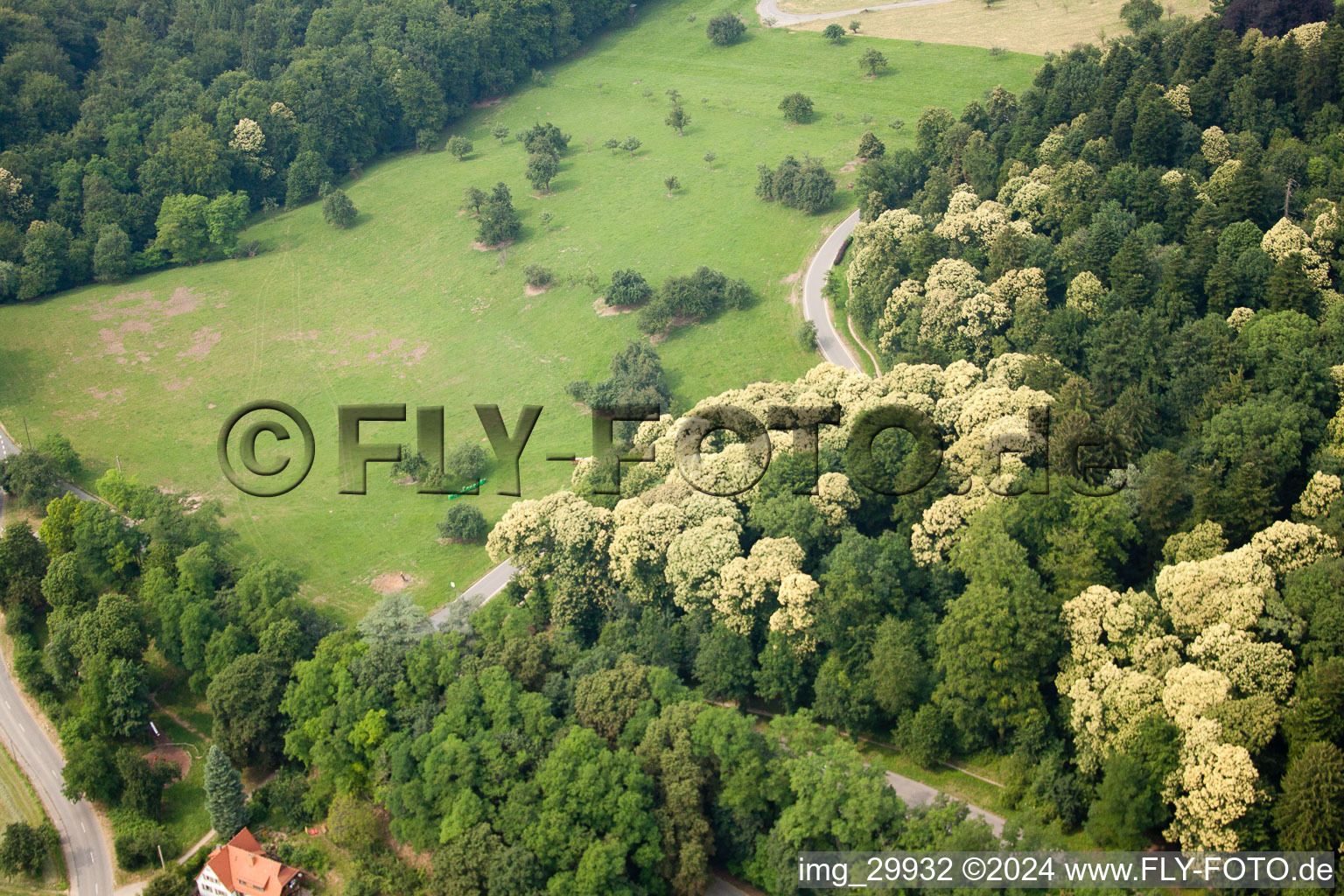 Speyererhofweg in the district Königstuhl in Heidelberg in the state Baden-Wuerttemberg, Germany