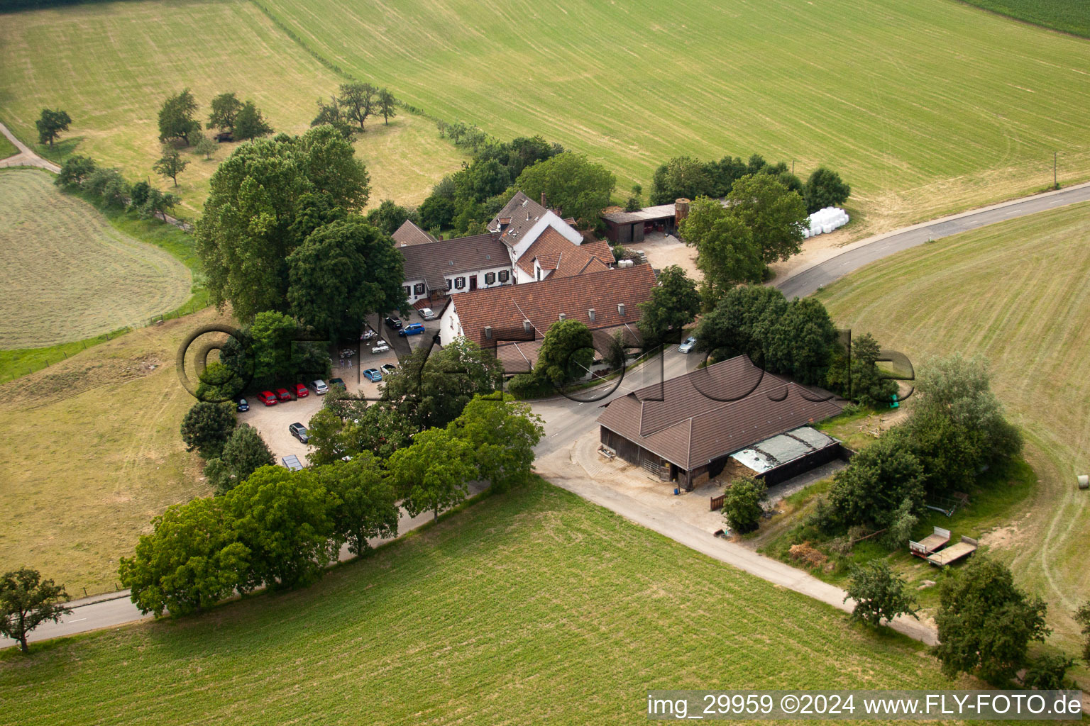 Bierhelderhof Gutsschänke in the district Rohrbach in Heidelberg in the state Baden-Wuerttemberg, Germany from above