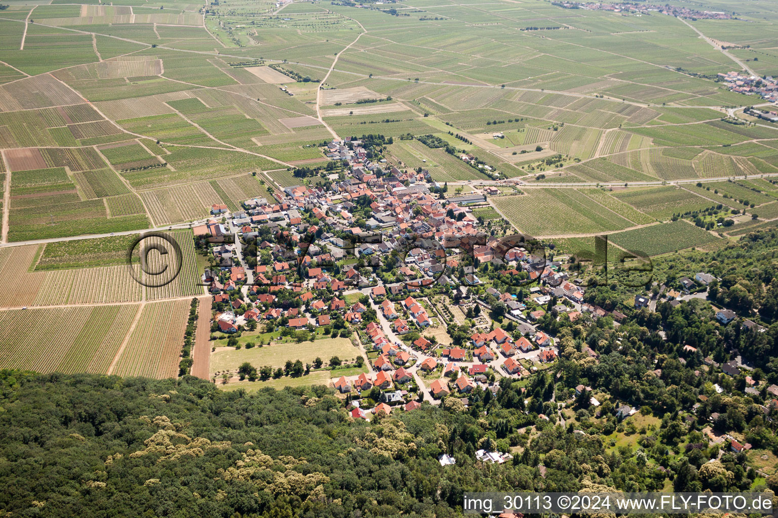 Village view of Am Muenchberg in Bobenheim am Berg in the state Rhineland-Palatinate